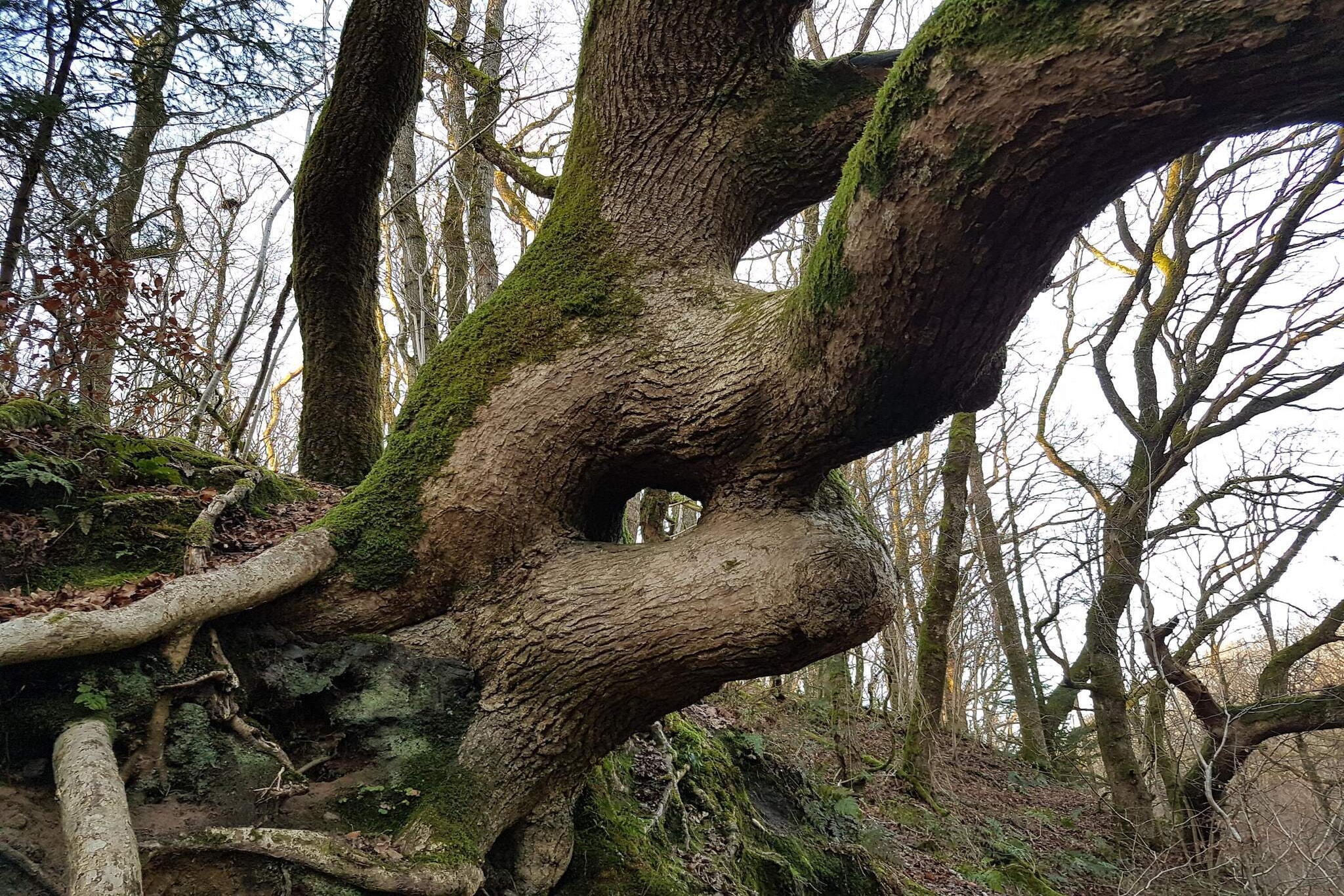 10 persoons vakantie huis in Brovst-Niet-getagd