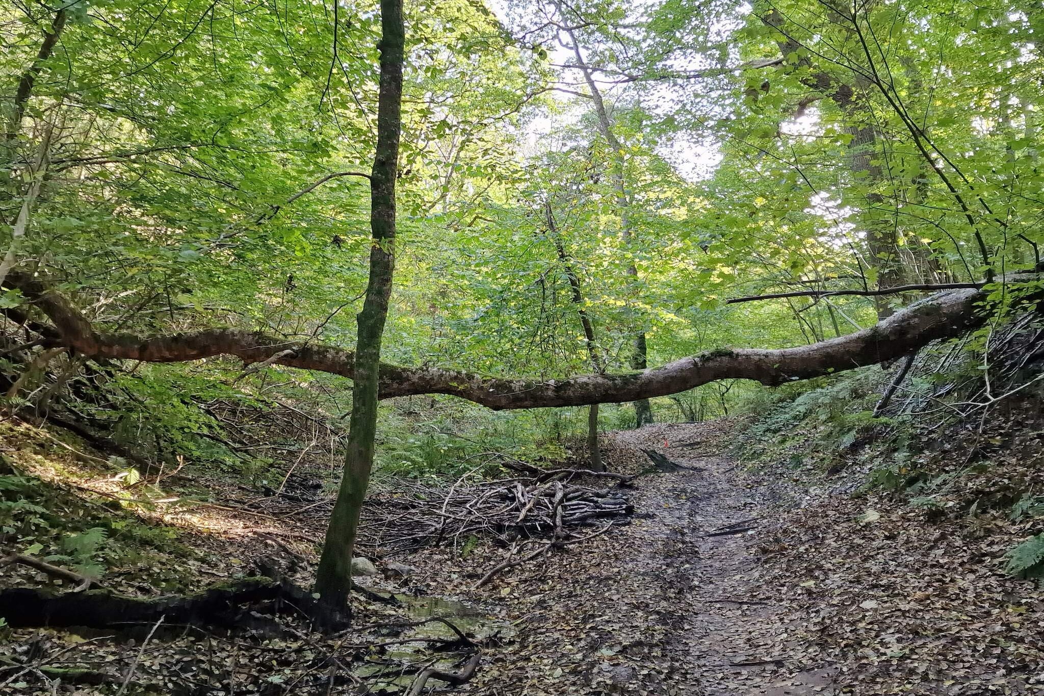 10 persoons vakantie huis in Brovst-Niet-getagd