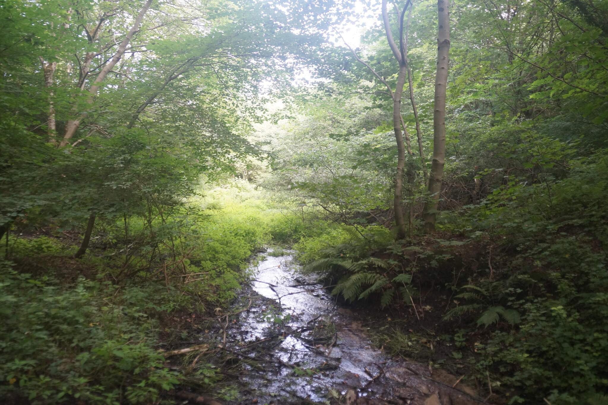 10 persoons vakantie huis in Brovst-Niet-getagd