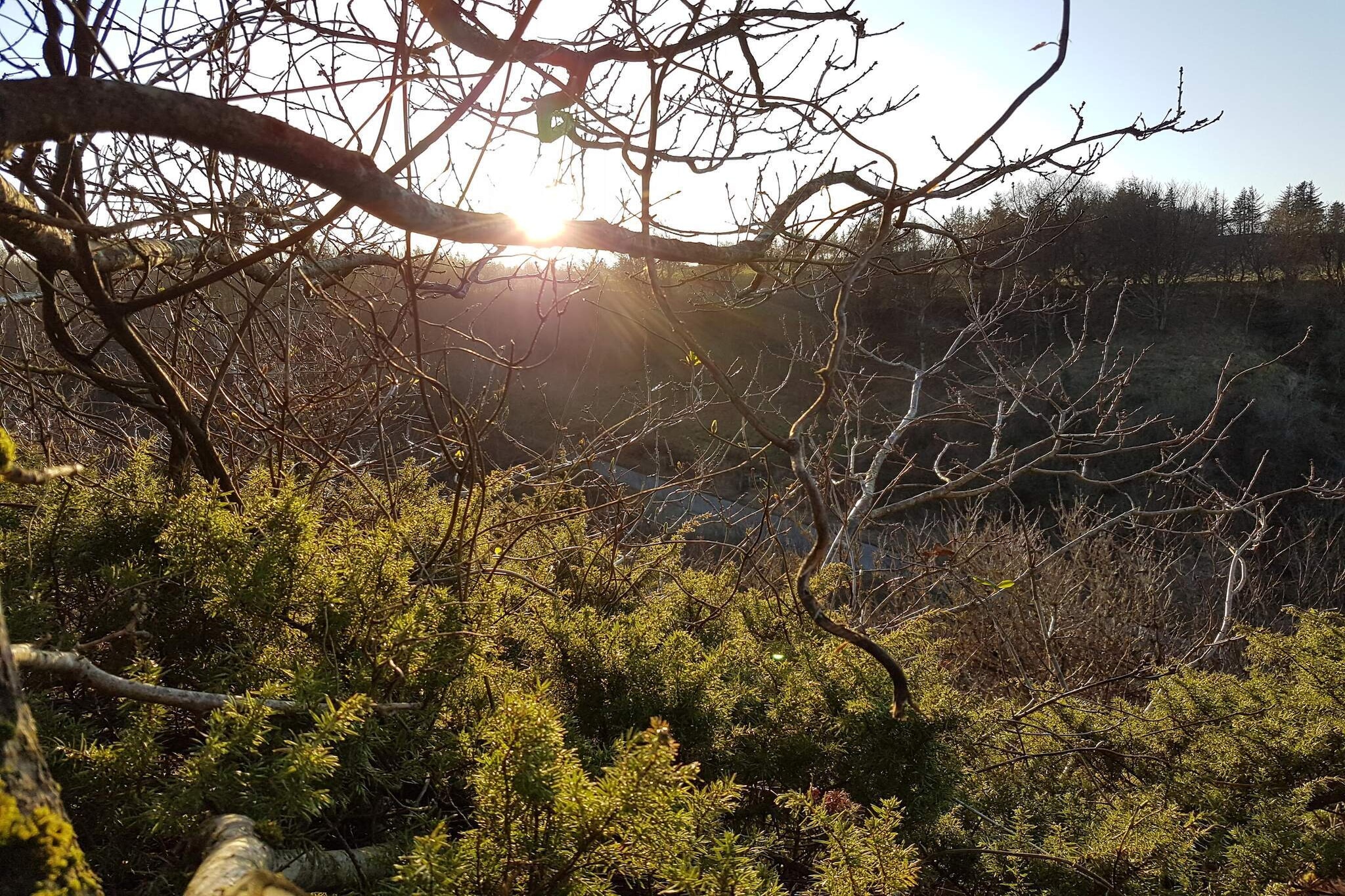 10 persoons vakantie huis in Brovst-Niet-getagd