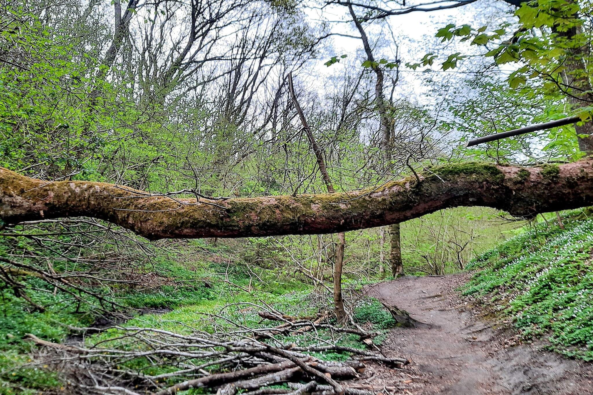 10 persoons vakantie huis in Brovst-Niet-getagd