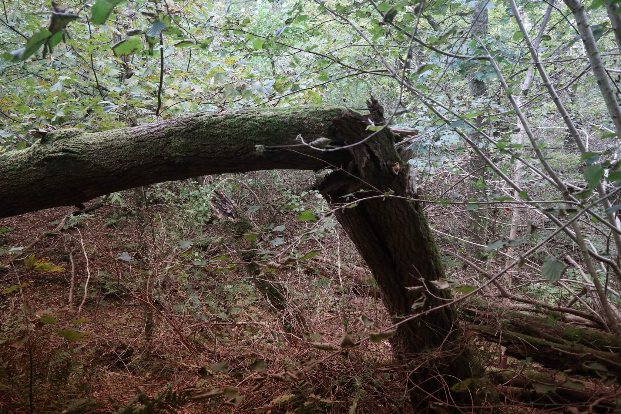 10 persoons vakantie huis in Brovst-Niet-getagd