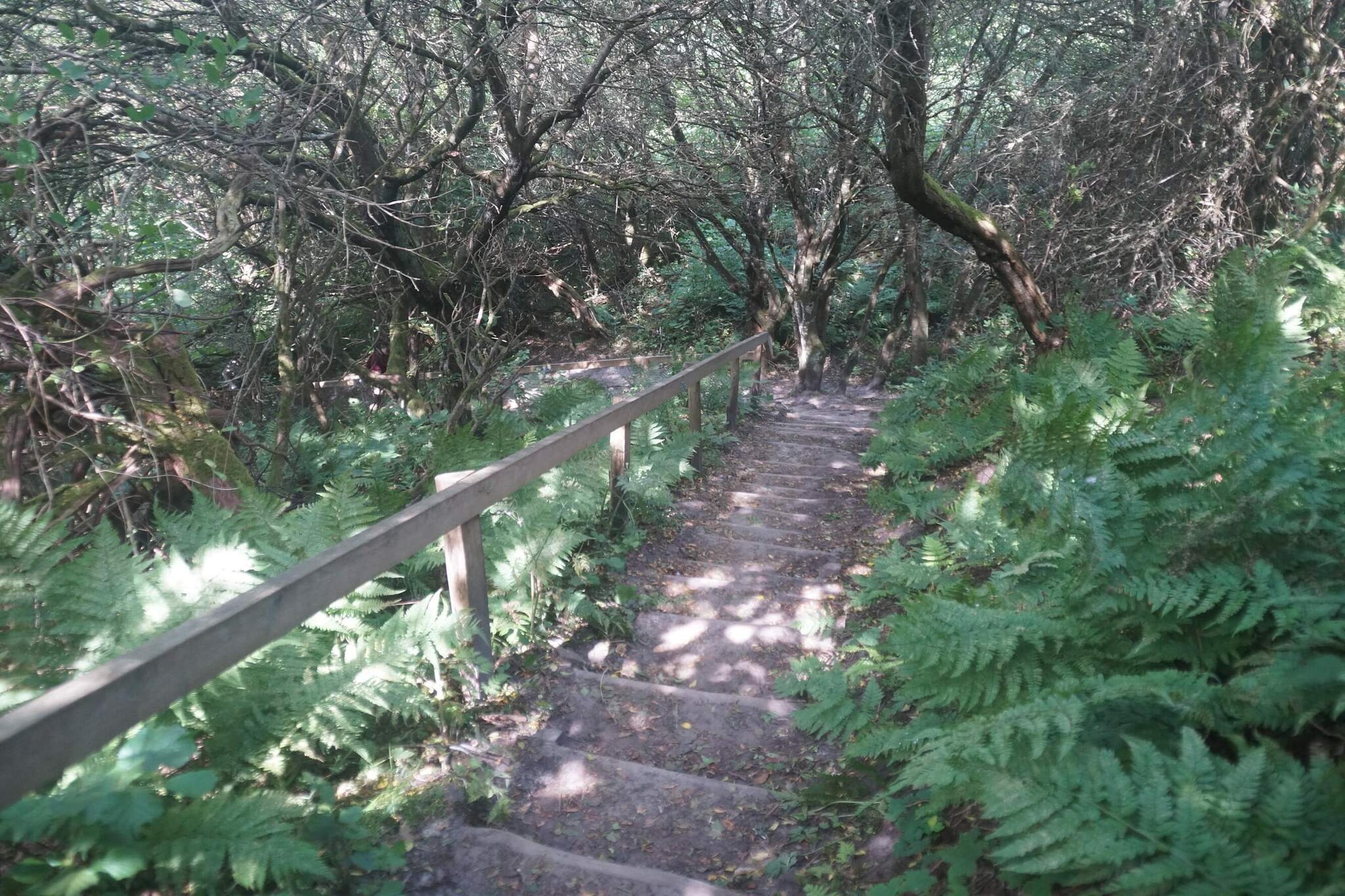 10 persoons vakantie huis in Brovst-Niet-getagd