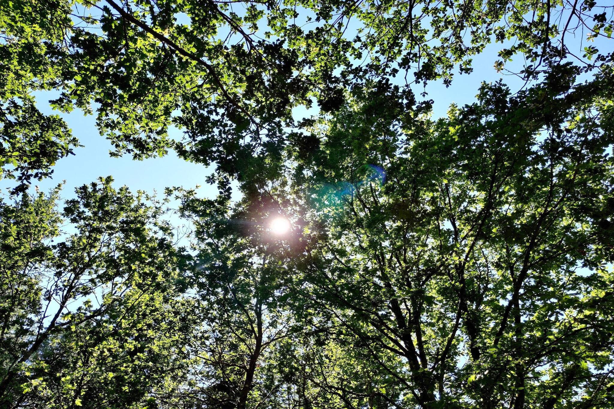 10 persoons vakantie huis in Brovst-Niet-getagd