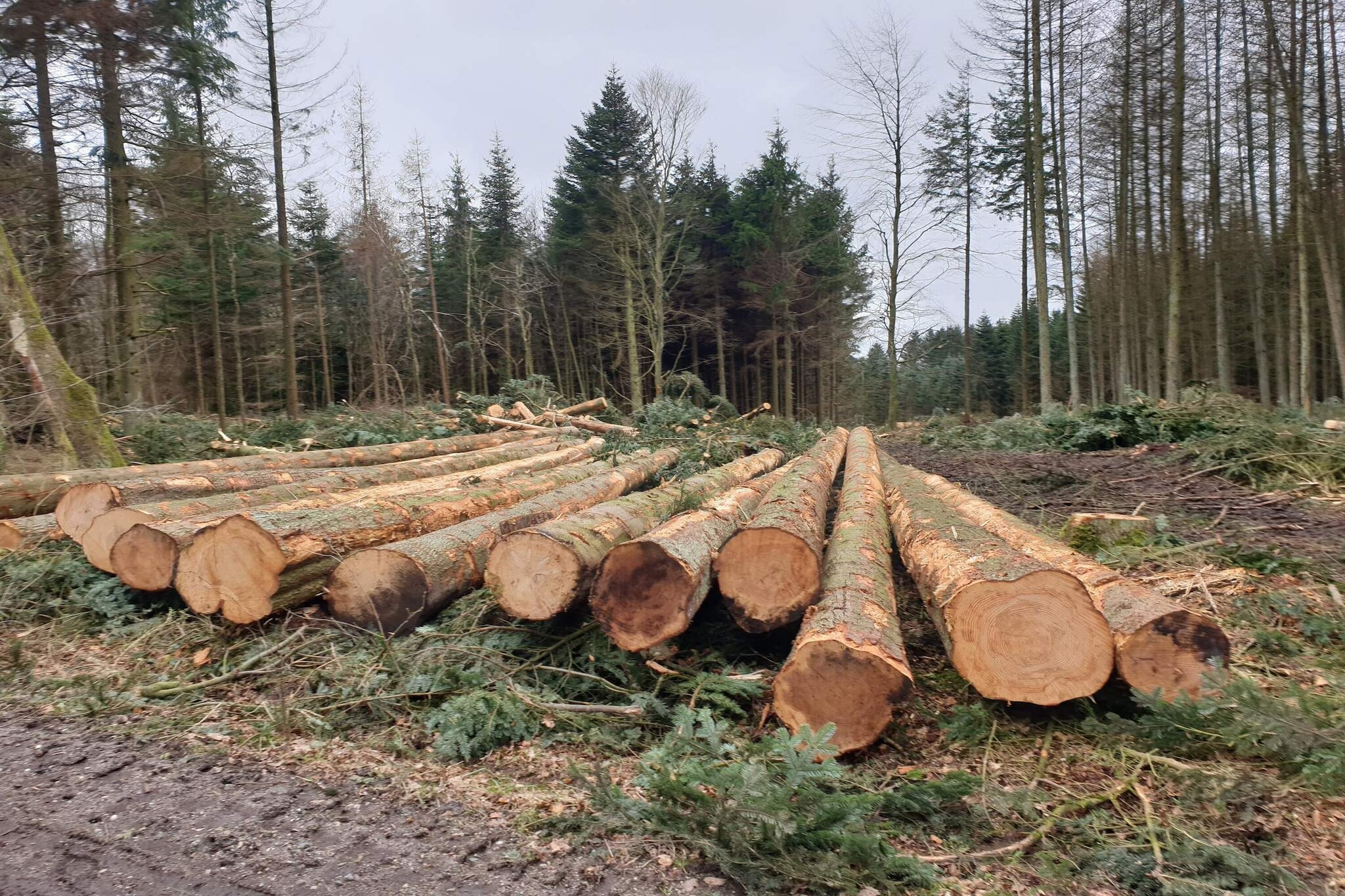 10 persoons vakantie huis in Brovst-Niet-getagd