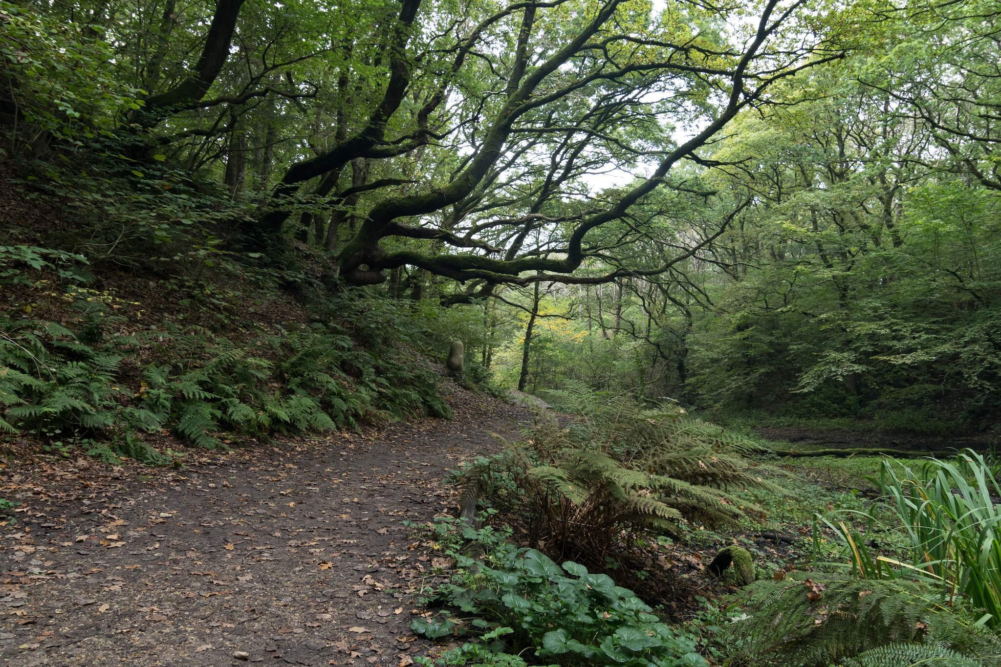 10 persoons vakantie huis in Brovst-Niet-getagd