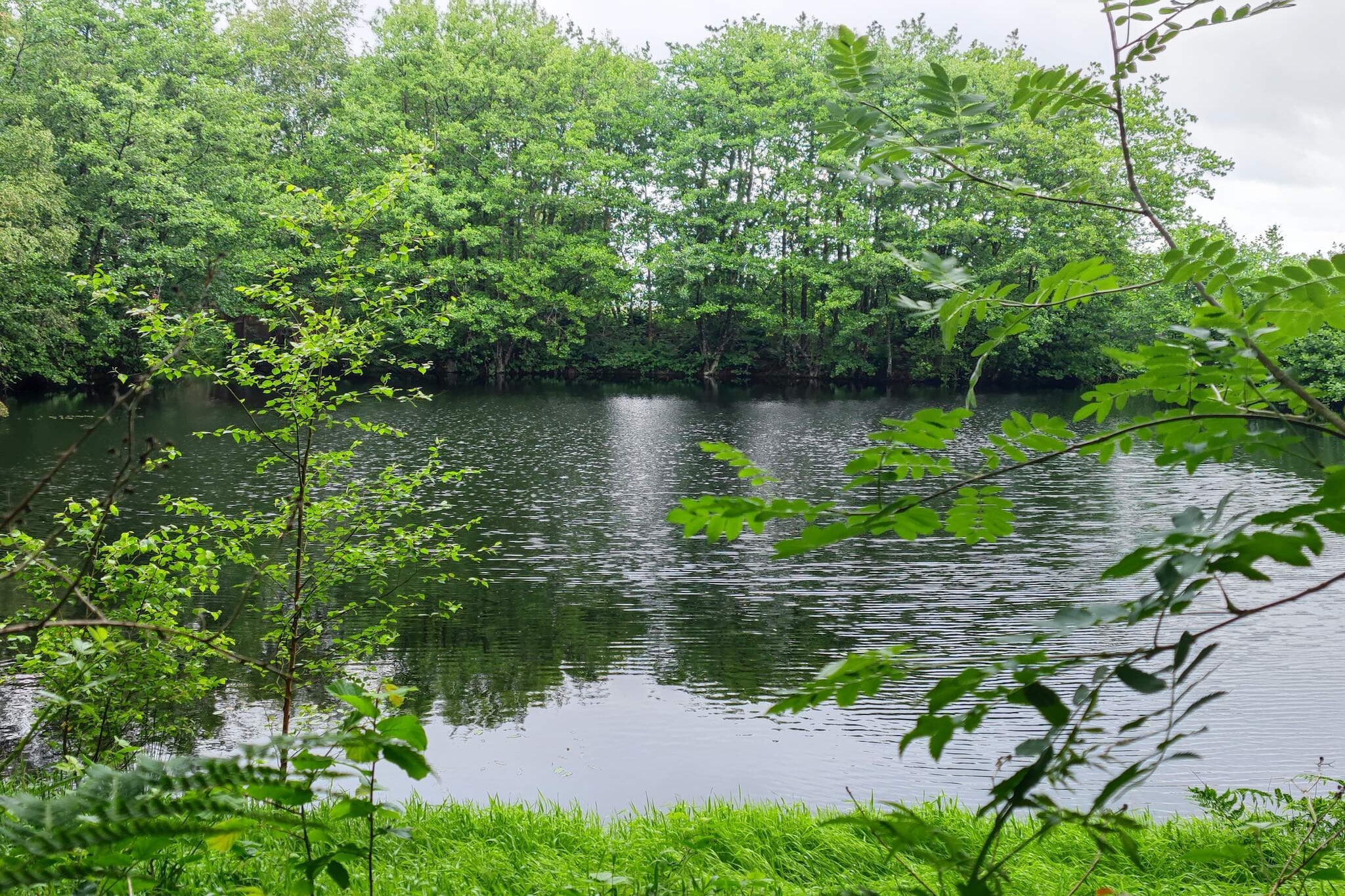 4 persoons vakantie huis in Fanø-By Traum-Waterzicht