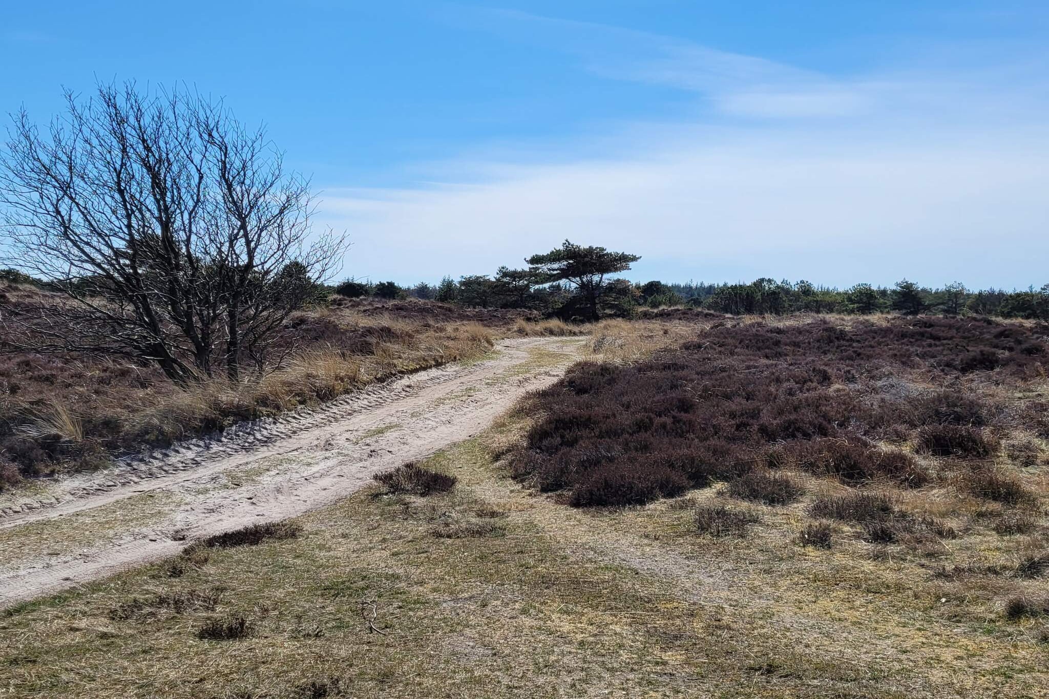 4 persoons vakantie huis in Fanø-By Traum-Waterzicht