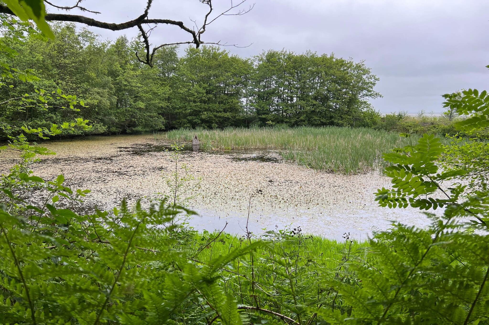 4 persoons vakantie huis in Fanø-By Traum-Waterzicht