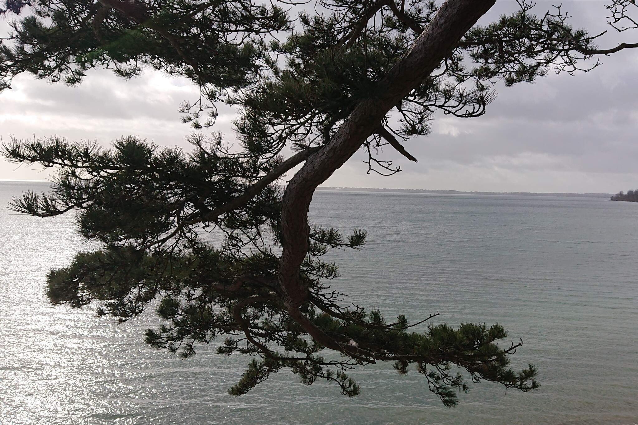 Retraite isolée avec sauna -- By Traum Ferienwohnungen-Vue sur l'eau