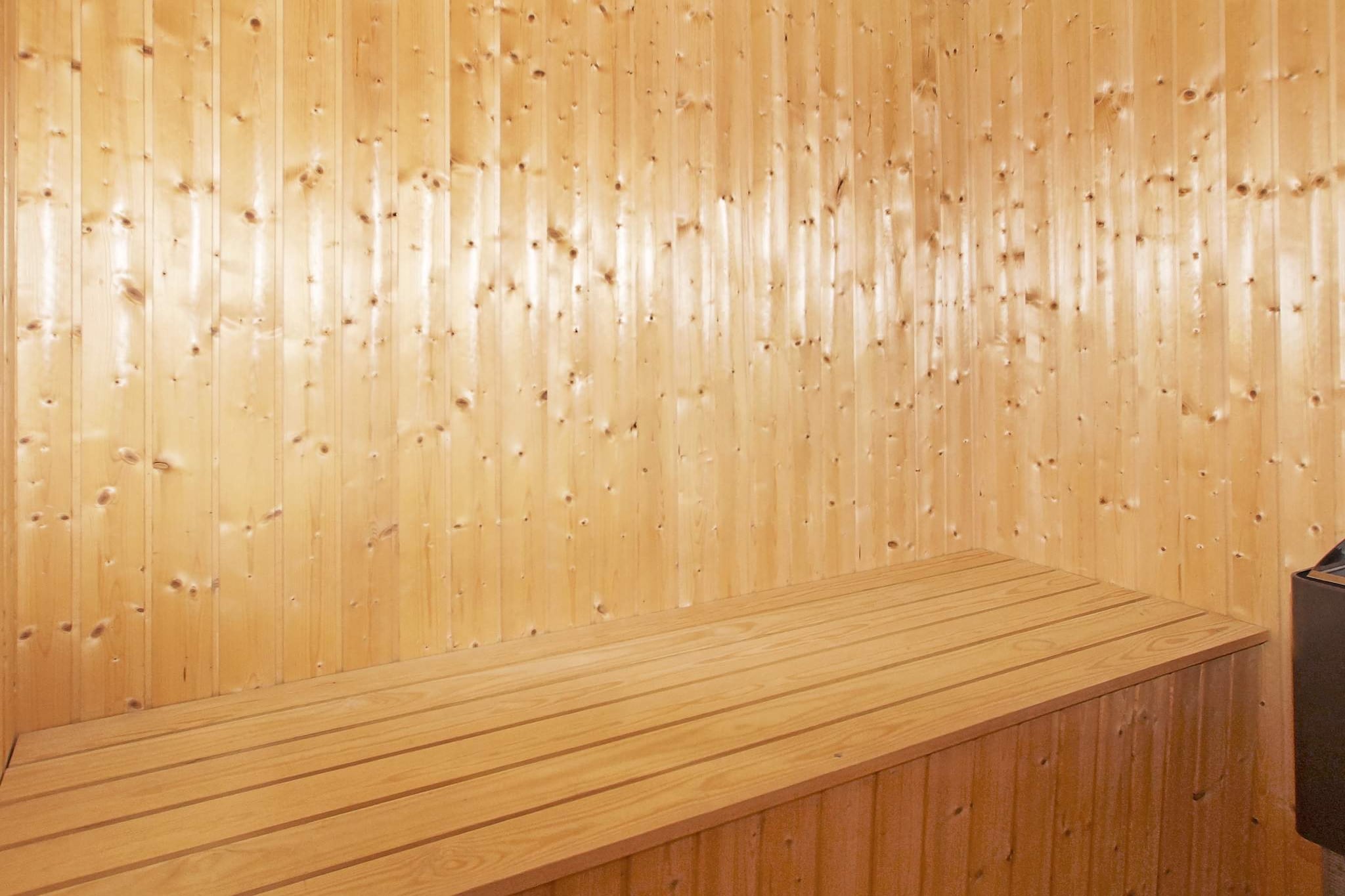 Vakantiehuis in de buurt van Bork Harbor - Sauna