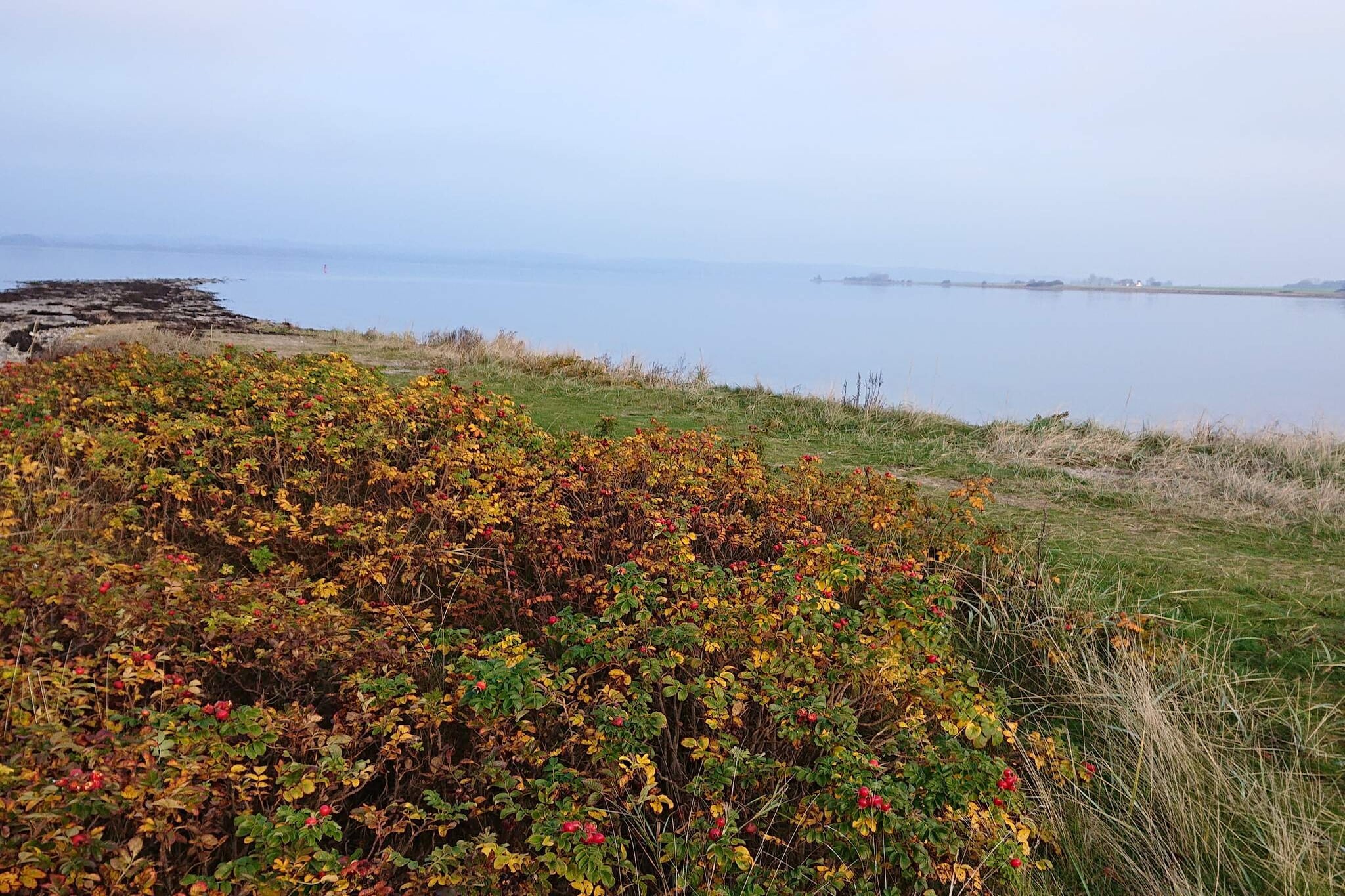 6 persoons vakantie huis in Juelsminde-By Traum-Waterzicht