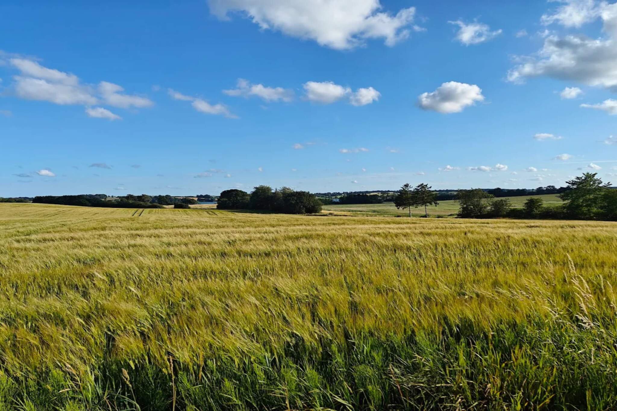 6 persoons vakantie huis in Hejls-By Traum