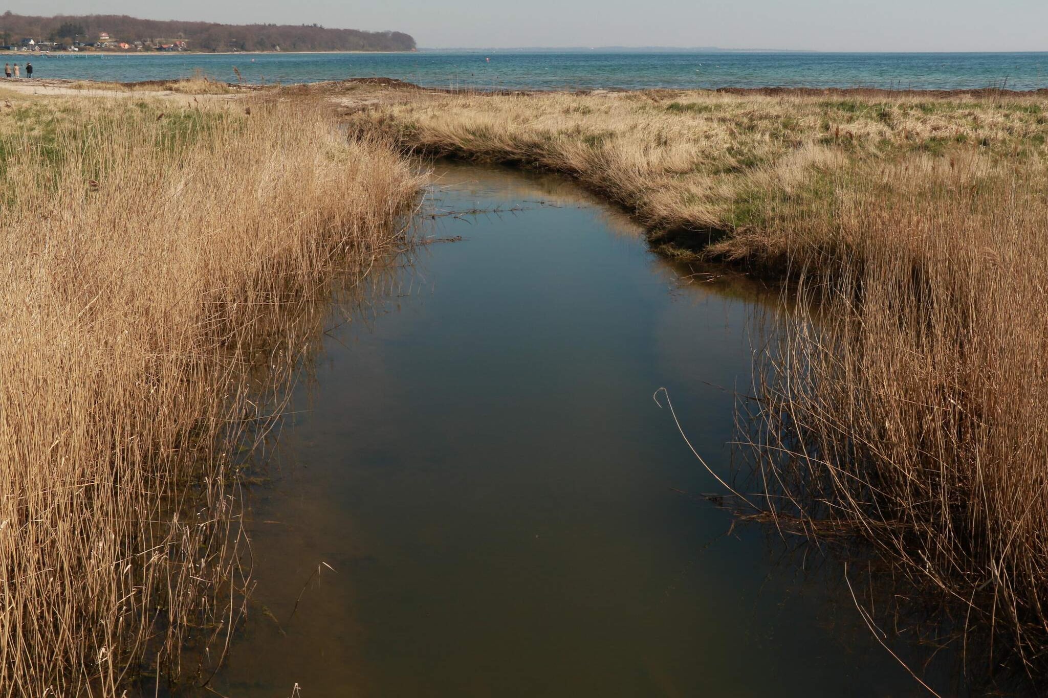 Syd?stjylland og Als