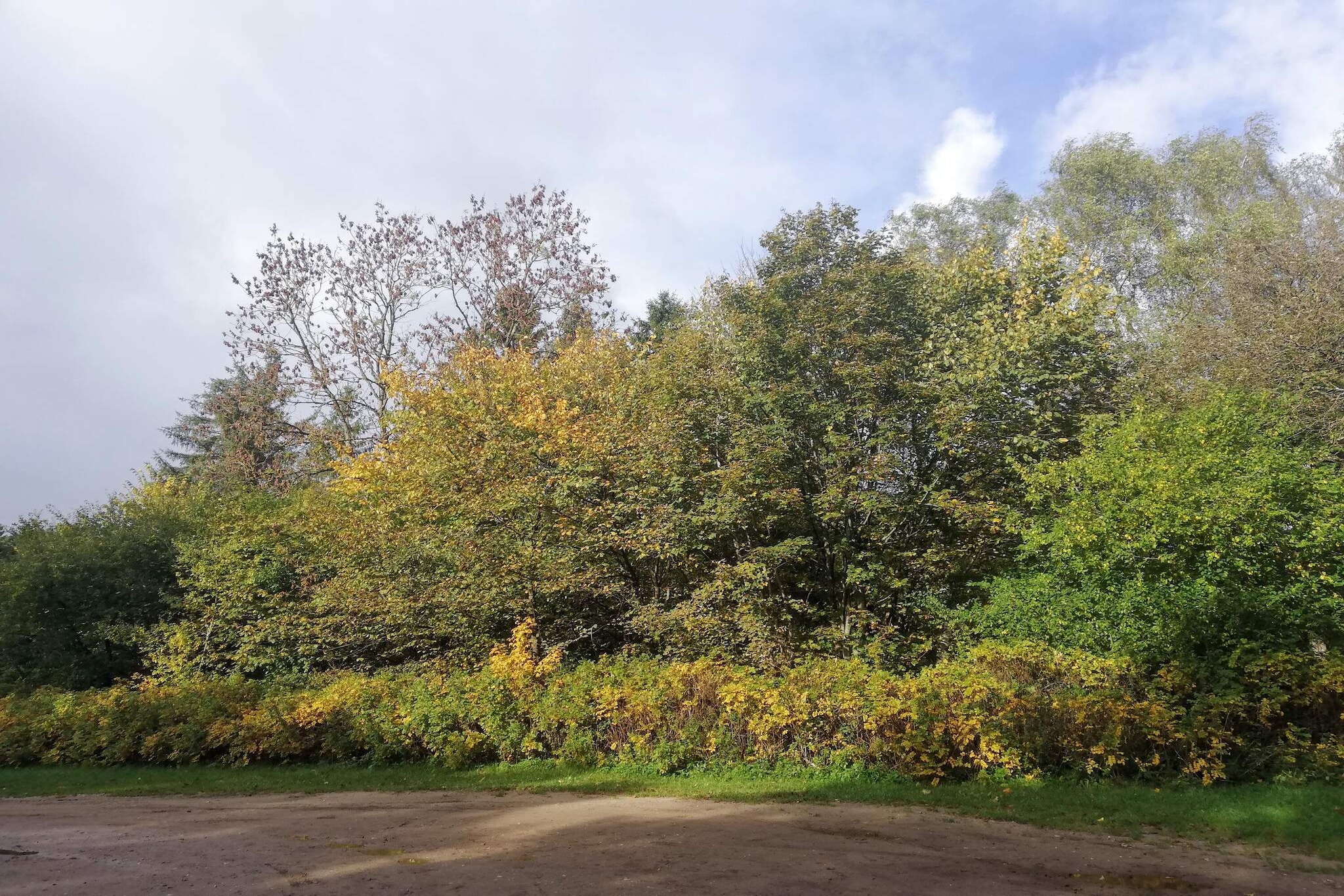 Modern toevluchtsoord met Spa -- By Traum Ferienwohnungen-Niet-getagd