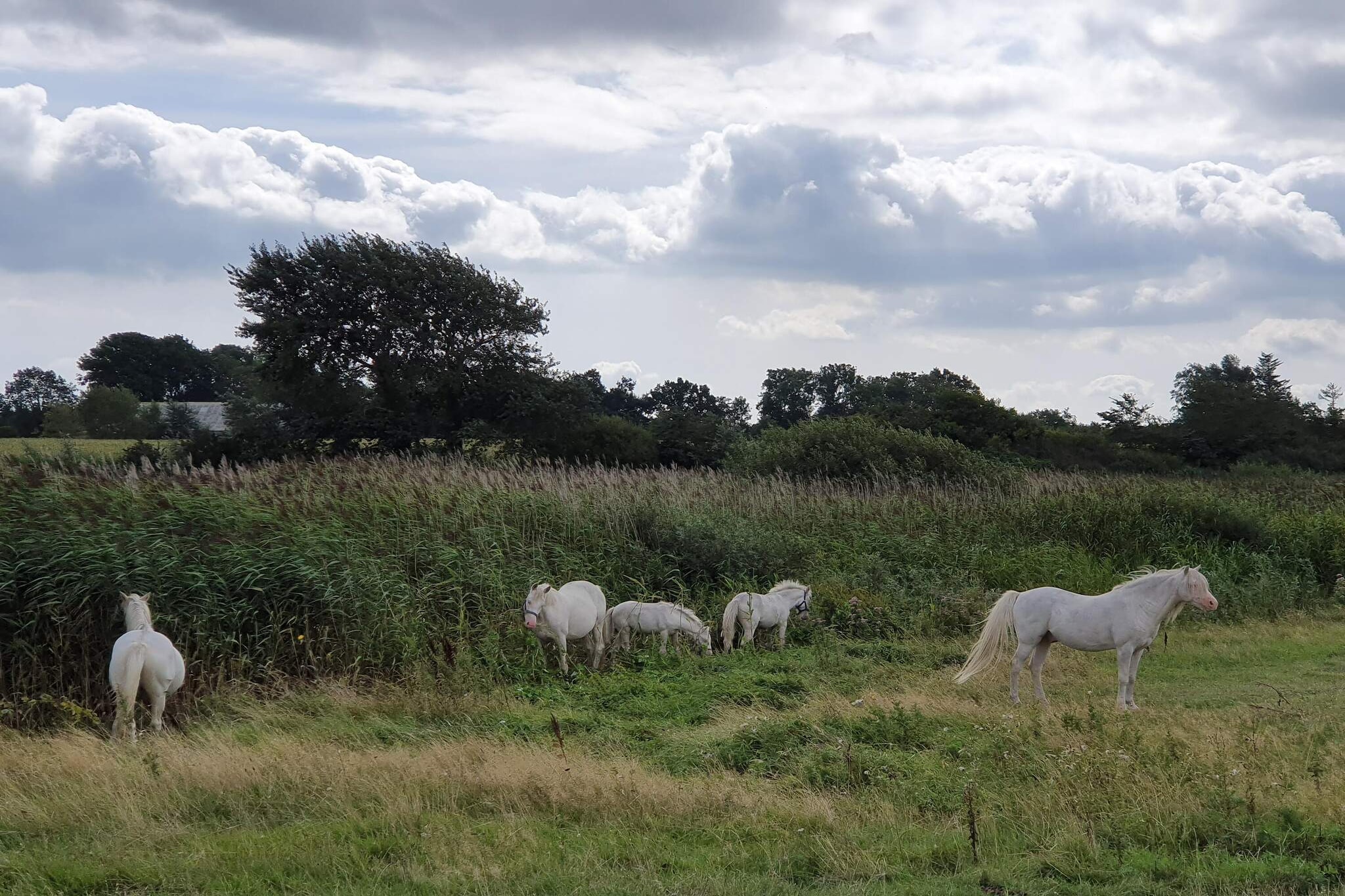Modern toevluchtsoord met Spa -- By Traum Ferienwohnungen-Niet-getagd