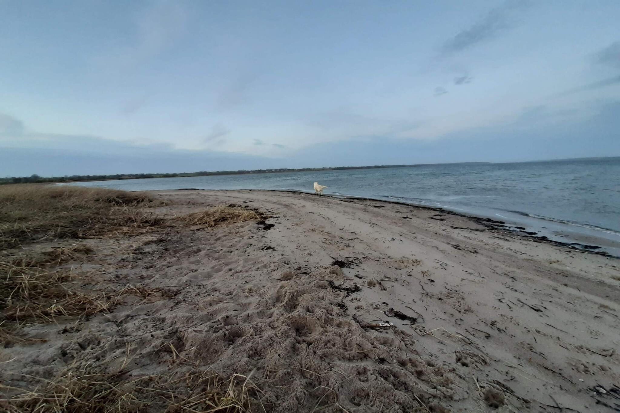 Retraite spacieuse près de Limfjorden -- By Traum Ferienwohnungen-Vue sur l'eau