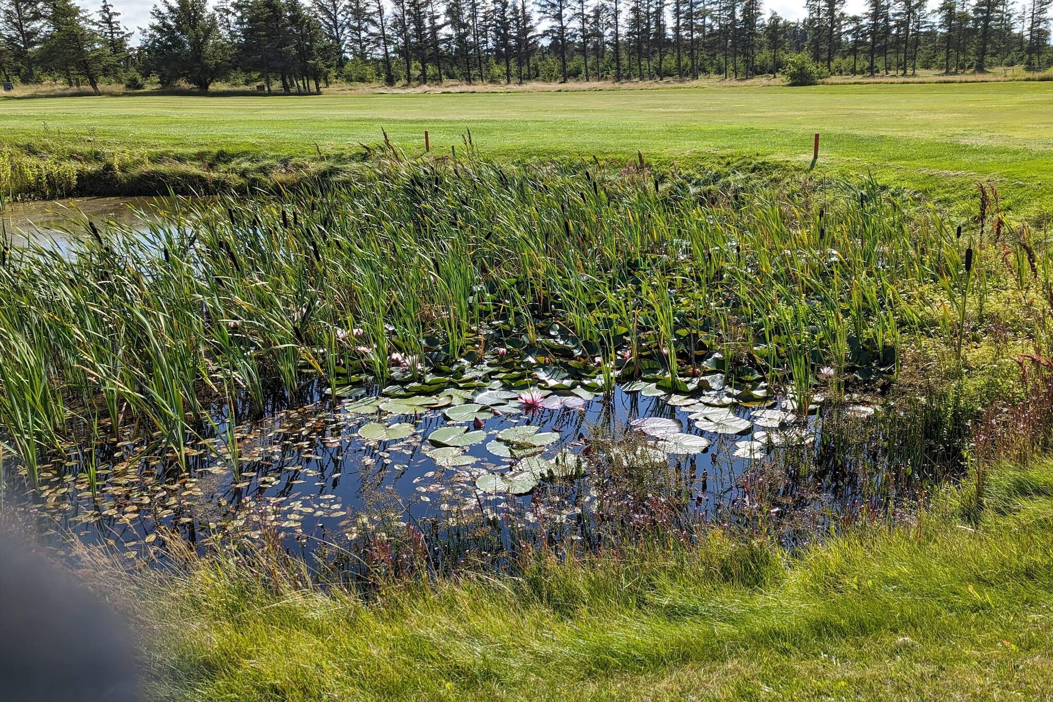 Maison de vacances pour 6 a Løkken-By Traum