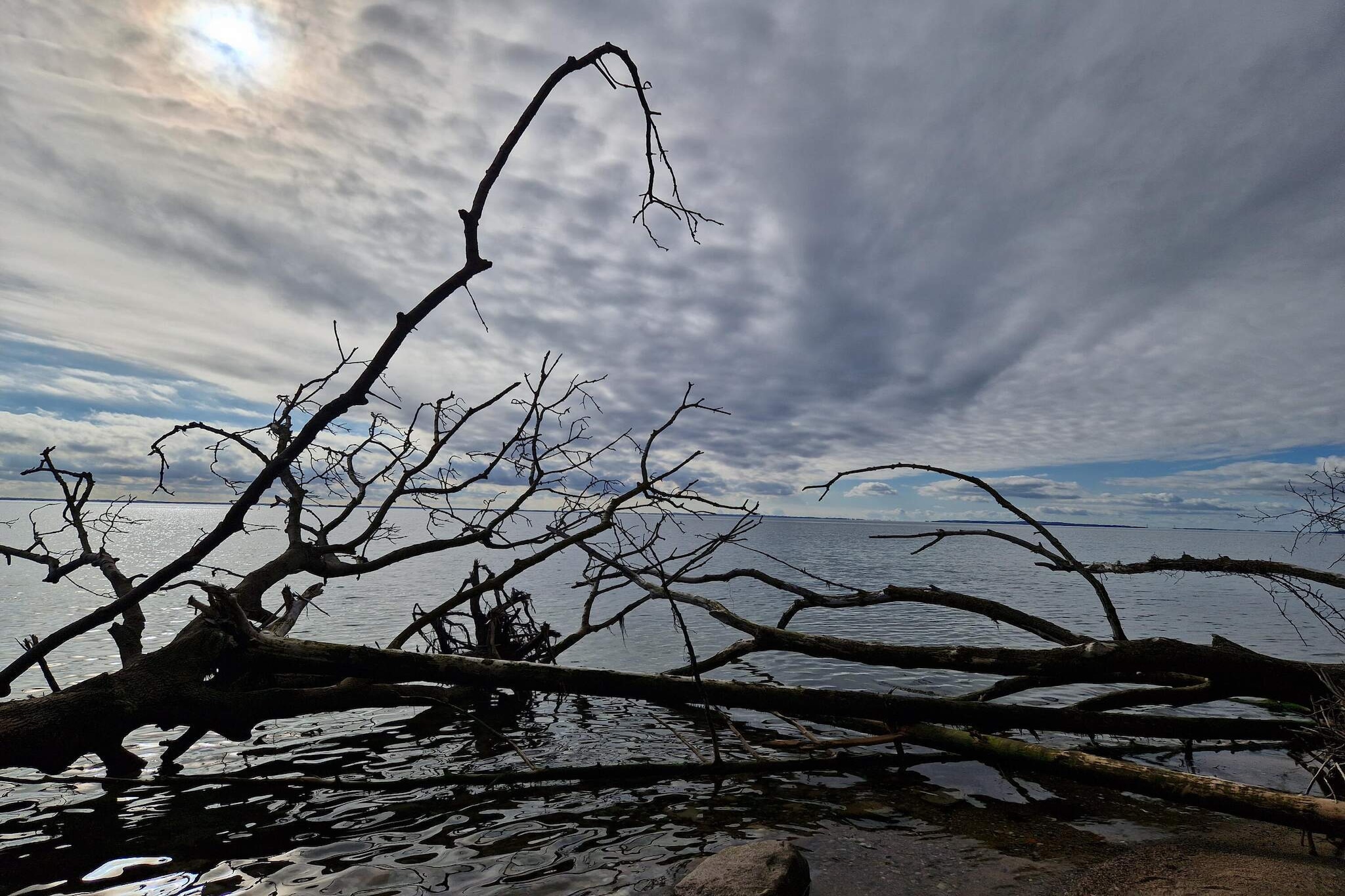 Gerestaureerde huisje in Juelsminde -- By Traum Ferienwohnungen-Niet-getagd