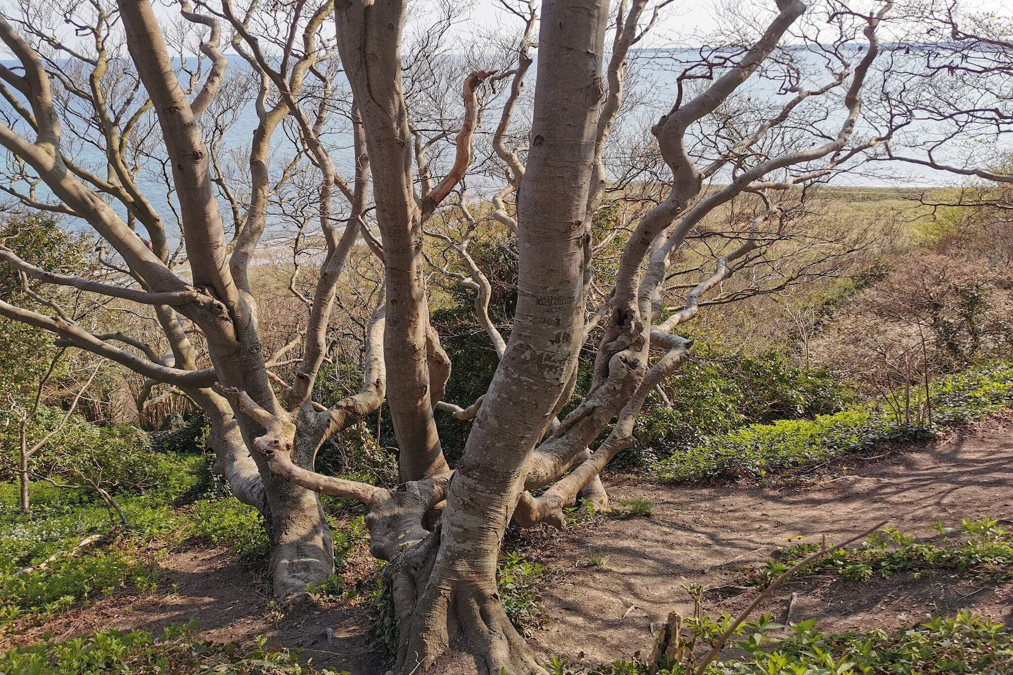 8 person holiday home in Ebeltoft-By Traum