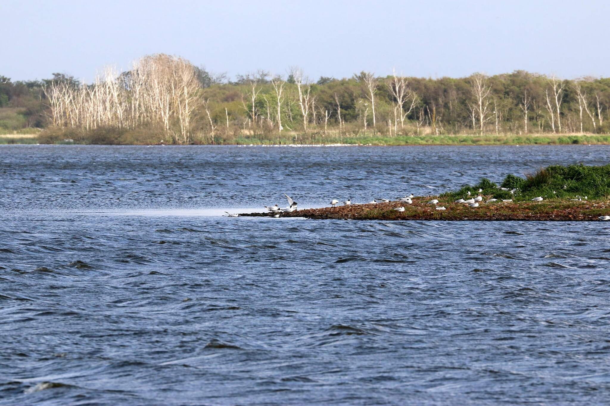 Maison de vacances pour 4 a Henne-By Traum-Vue sur l'eau