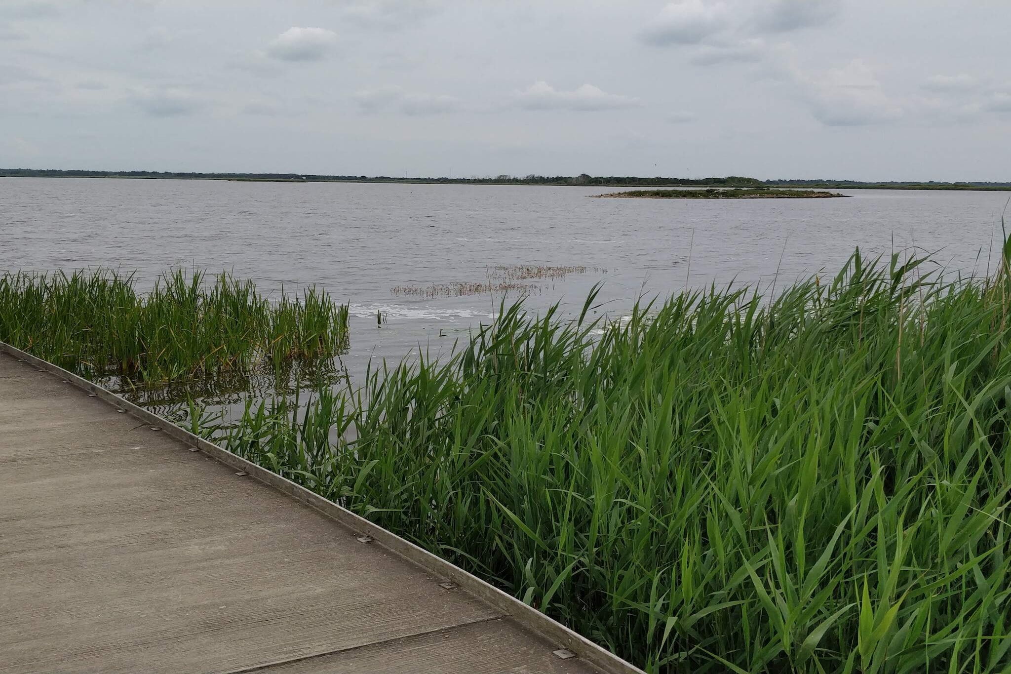 Maison de vacances pour 4 a Henne-By Traum-Vue sur l'eau