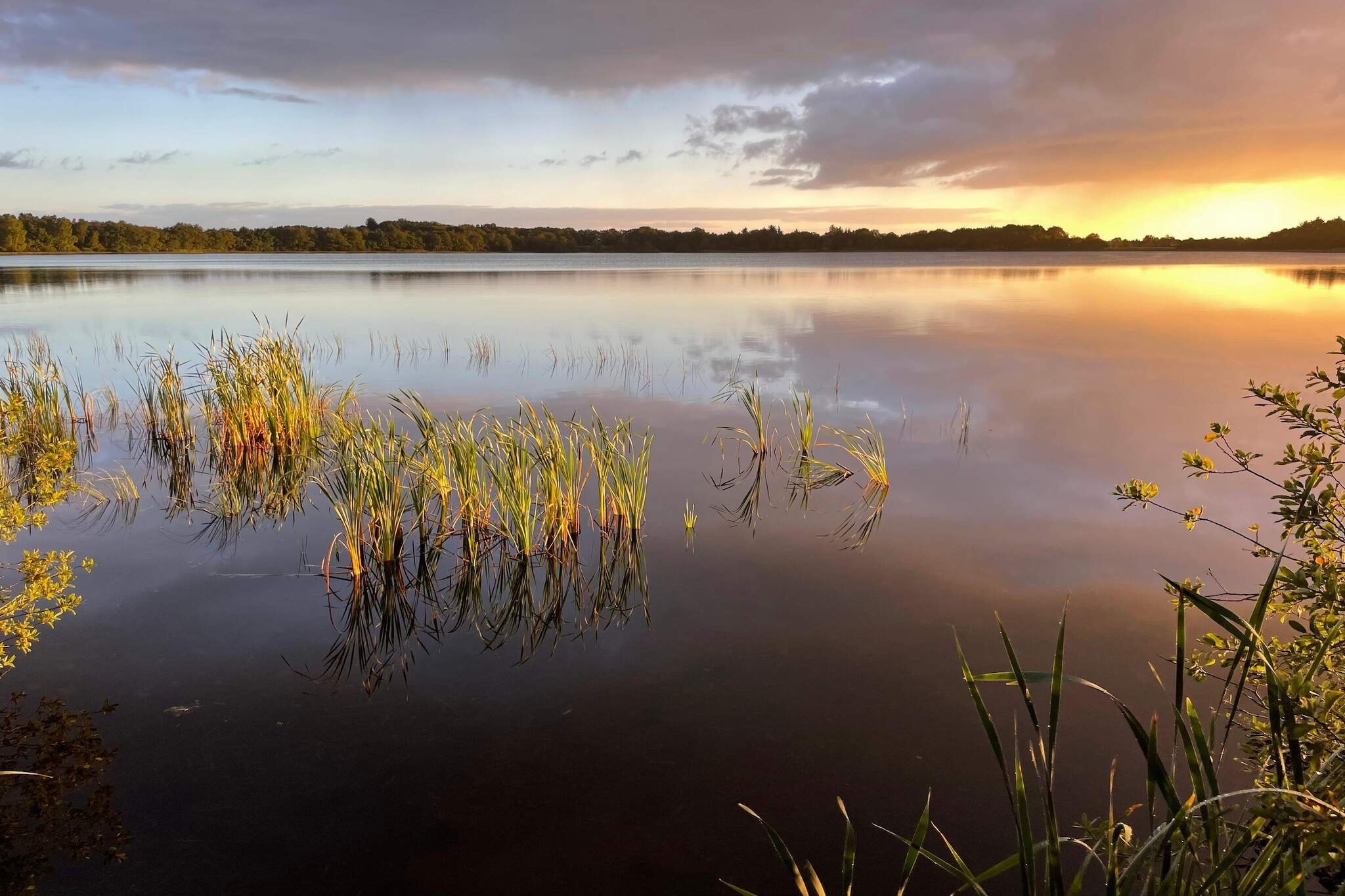 5 persoons vakantie huis in Ansager-By Traum-Waterzicht