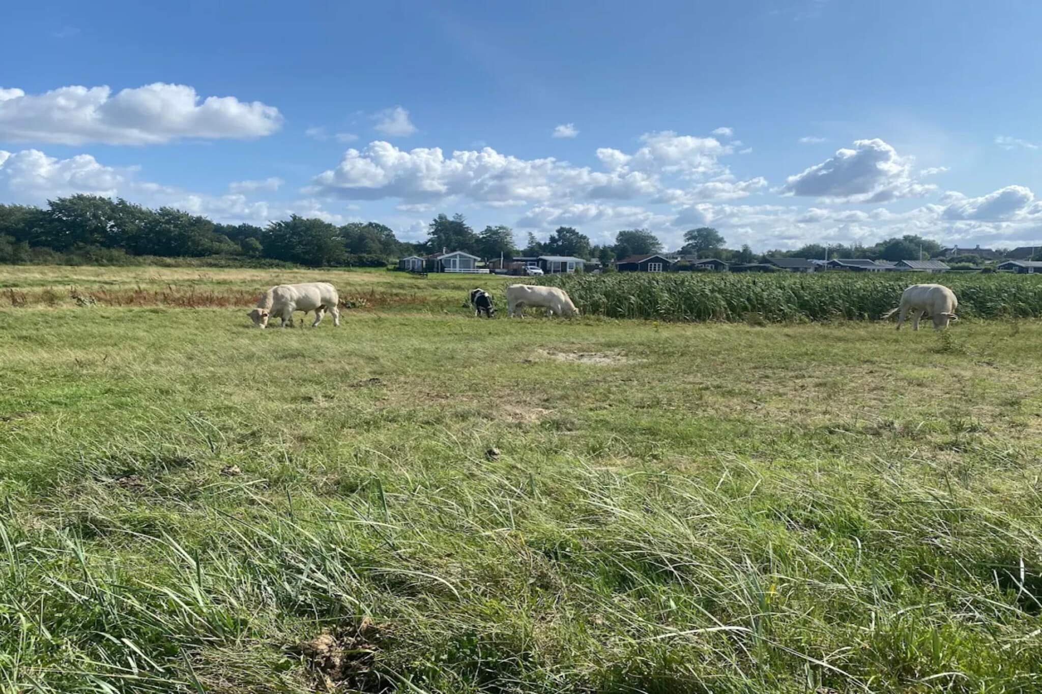 Luxe strandhuis met zwembad -- By Traum Ferienwohnungen-Niet-getagd