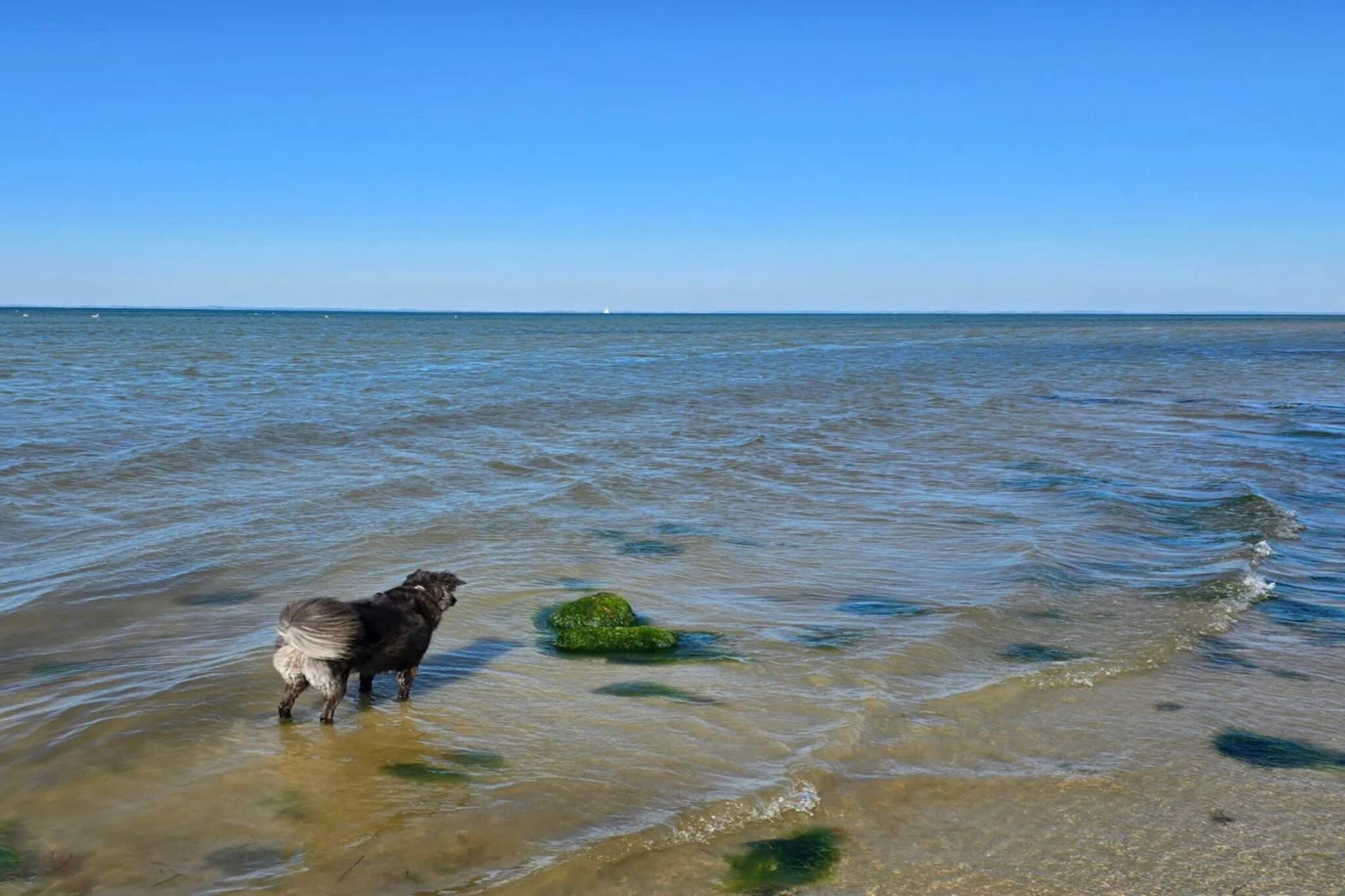 Luxe strandhuis met zwembad -- By Traum Ferienwohnungen-Waterzicht