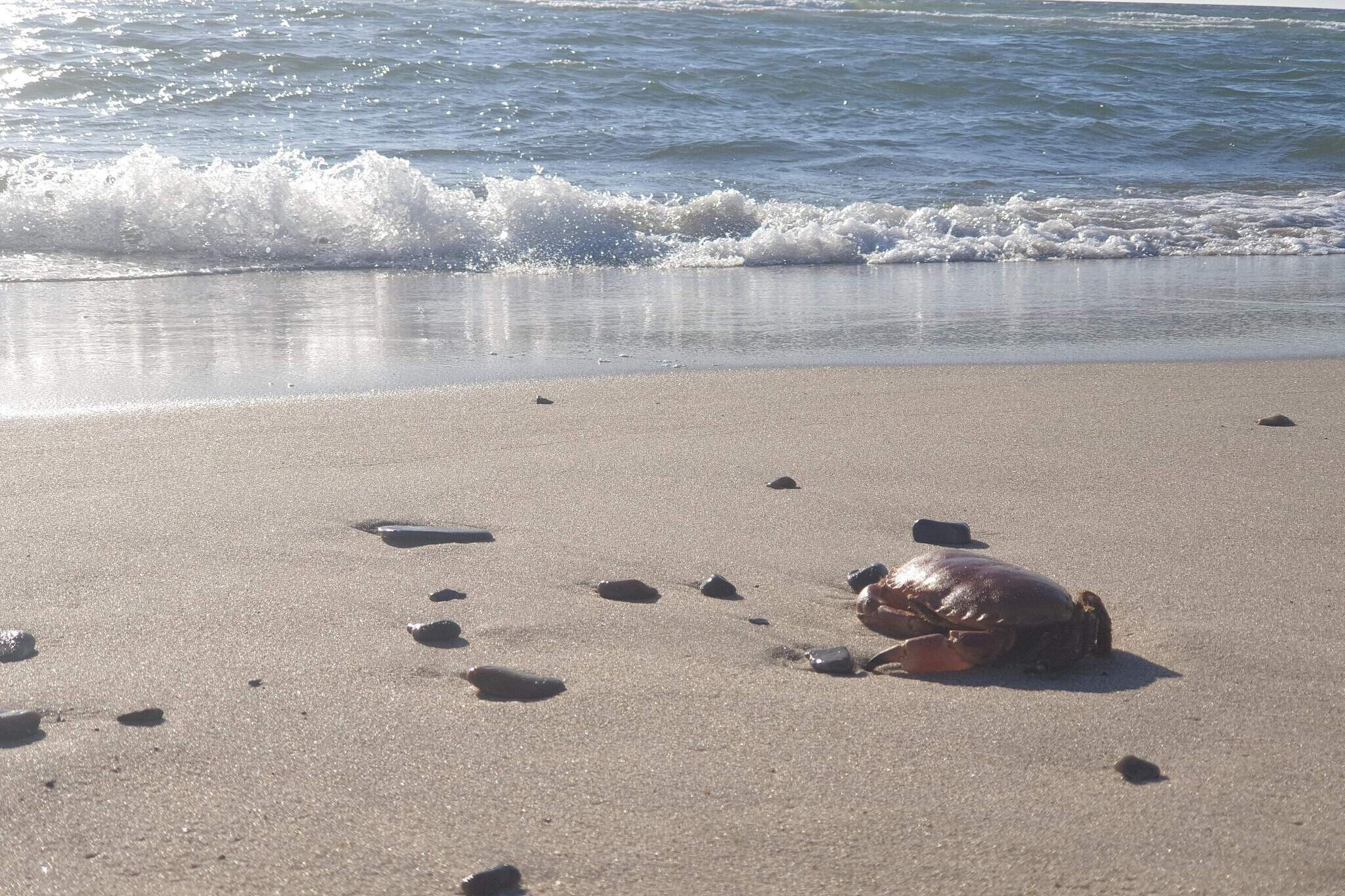 6 persoons vakantie huis in Ringkøbing-By Traum-Waterzicht