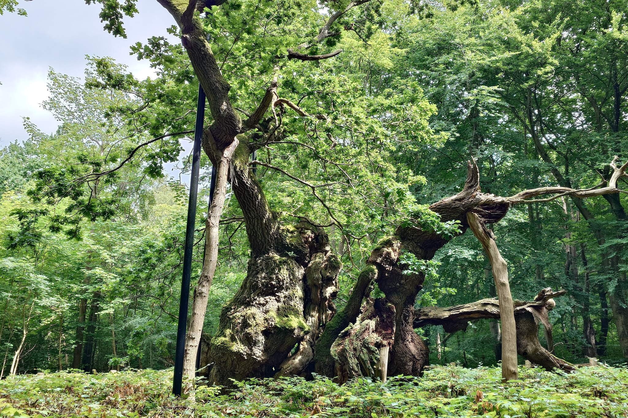 Internet Access DSL, Kitchen(cooker(electric), hood, coffee machine, dishwasher, fridge-freezer, washing machine), Living/bed room(TV(german television channels, danish TV channels (DR1 and TV2)), radio, high chair), bedroom(double bed, cot), bedroom(2x bunk bed), bedroom(3x bunk bed), bathroom(floor heating)(bathtub or shower, washbasin, toilet), Bubble bath(outside, 6 persons), terrace, BBQ, play equipment, geothermal energy, air to air heatpump