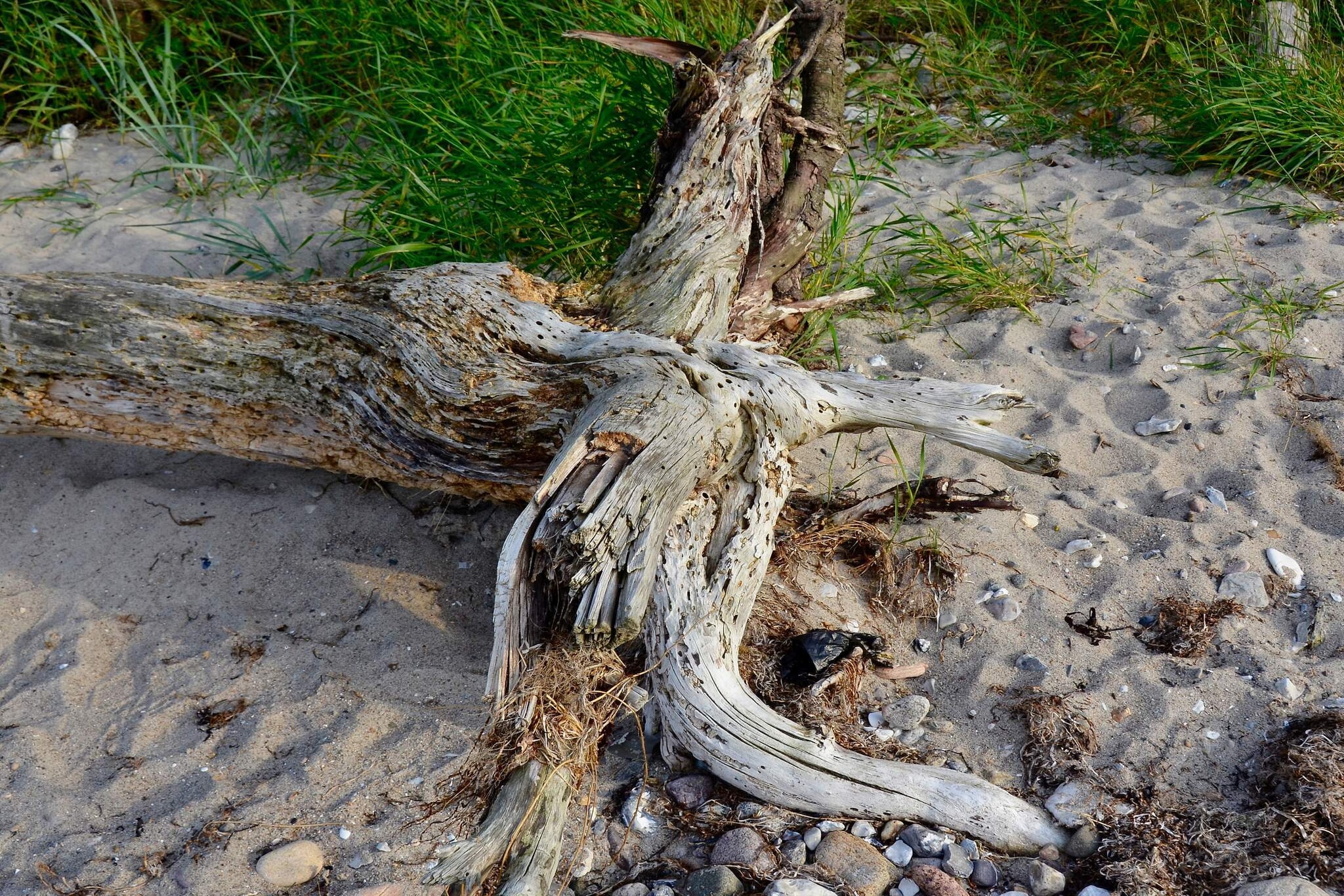 Modern toevluchtsoord bij strand -- By Traum Ferienwohnungen