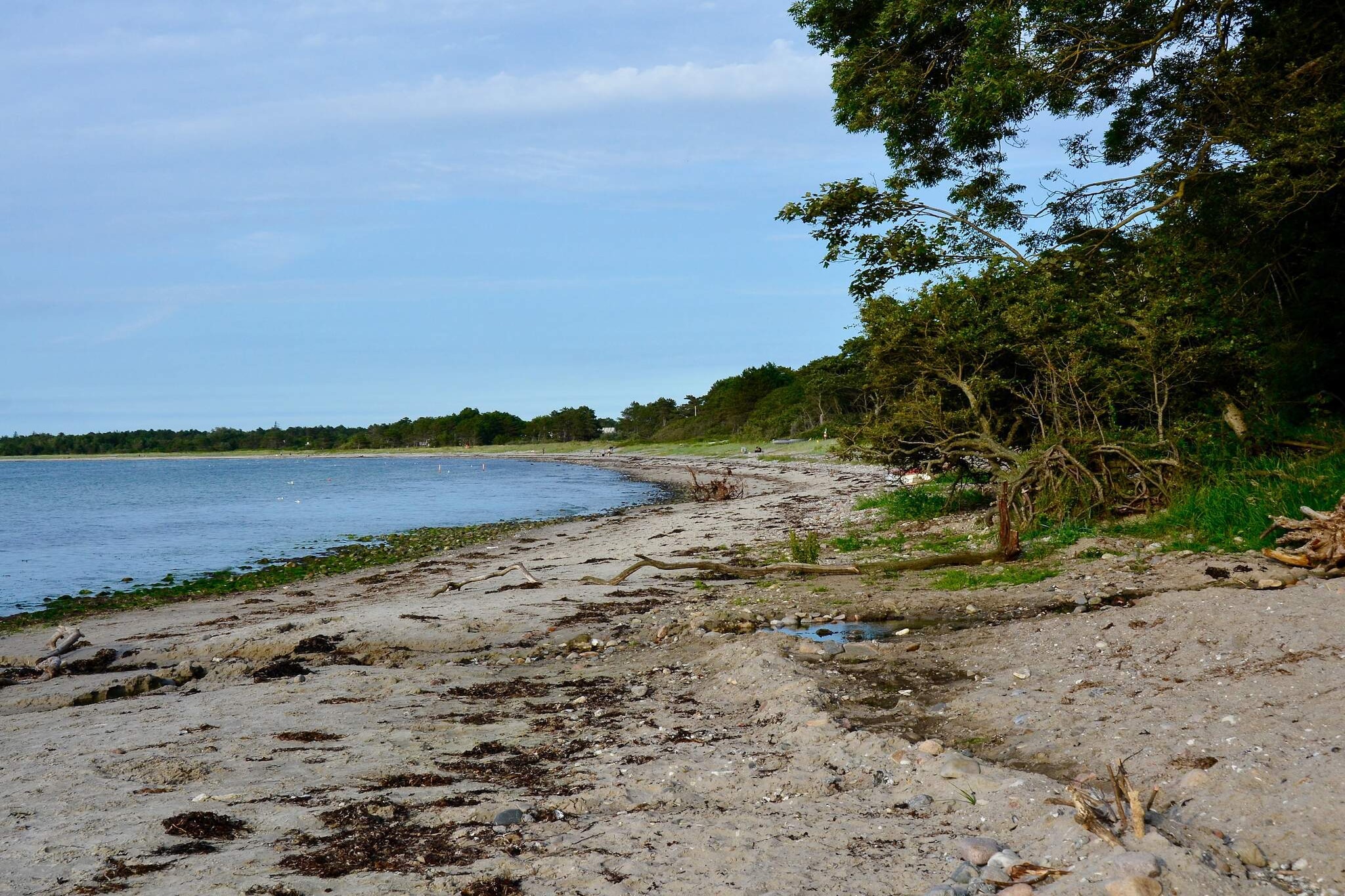 Modern toevluchtsoord bij strand -- By Traum Ferienwohnungen-Waterzicht