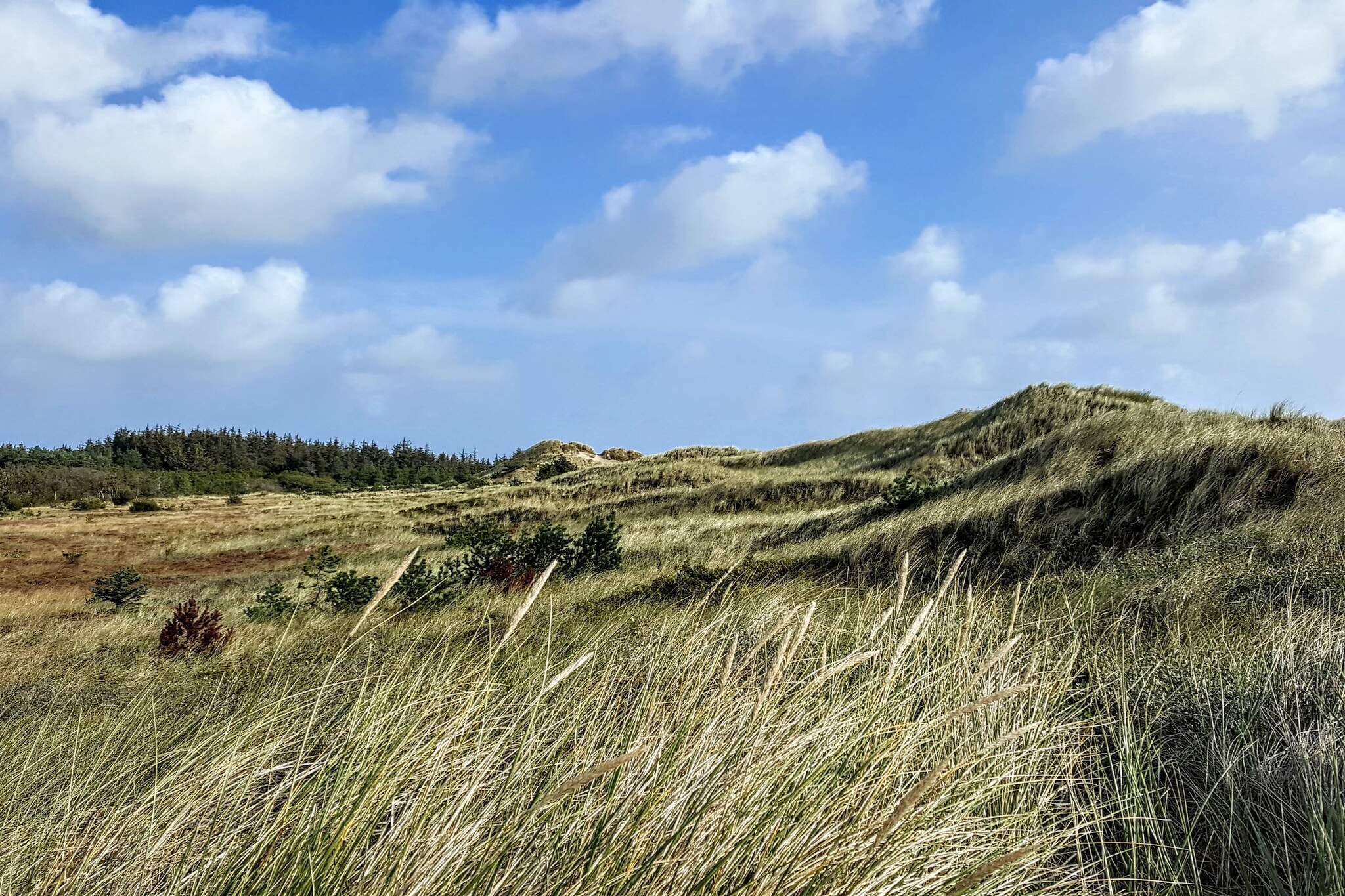 Idyllische strandhut -- By Traum Ferienwohnungen