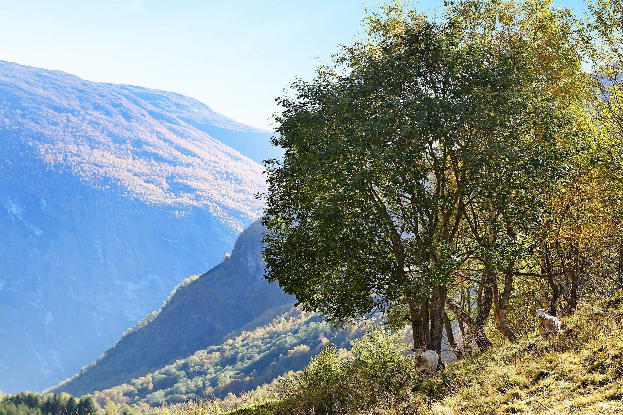 View
