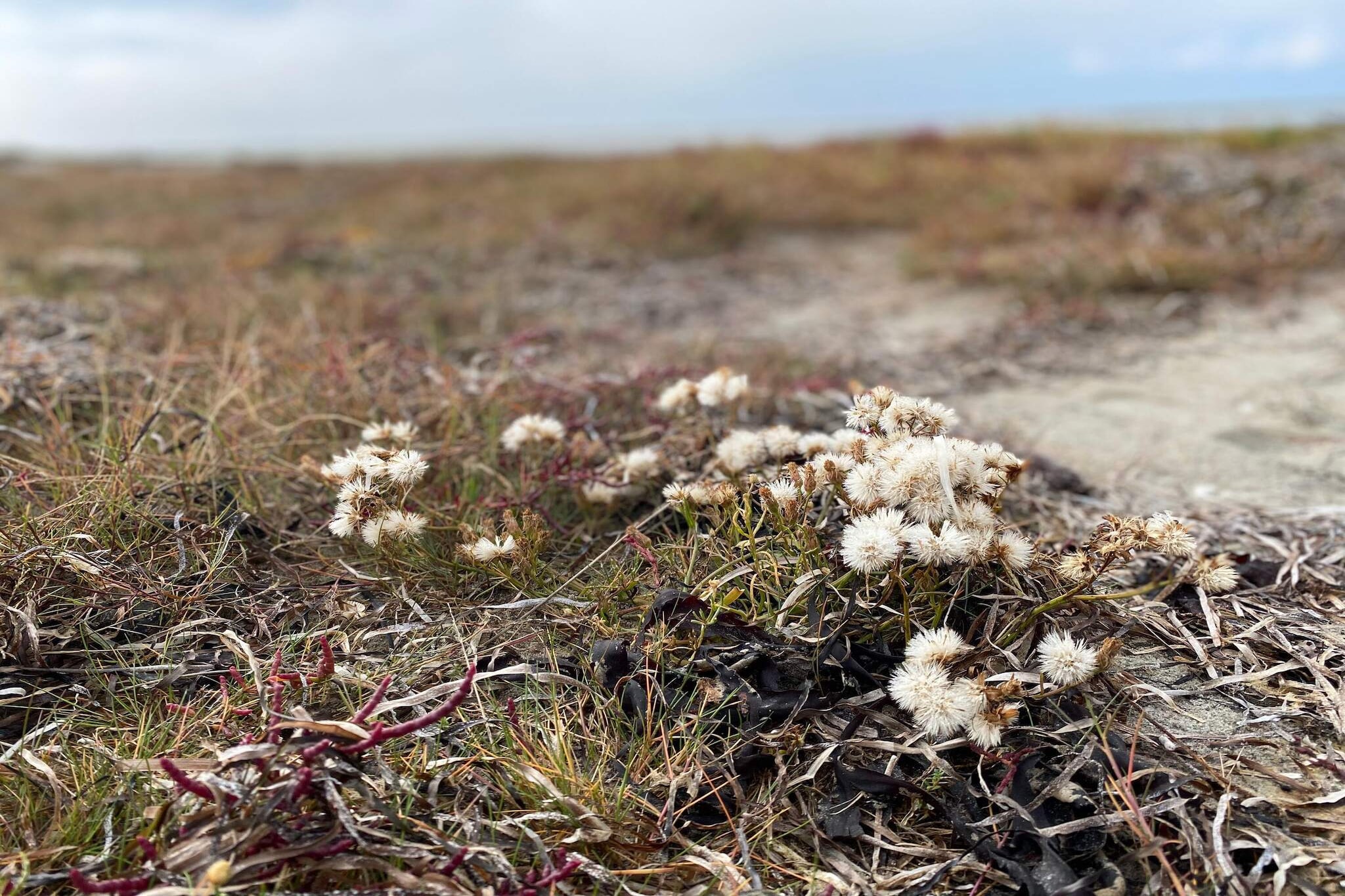 Kust ontsnapping in Laeso -- By Traum Ferienwohnungen-Niet-getagd