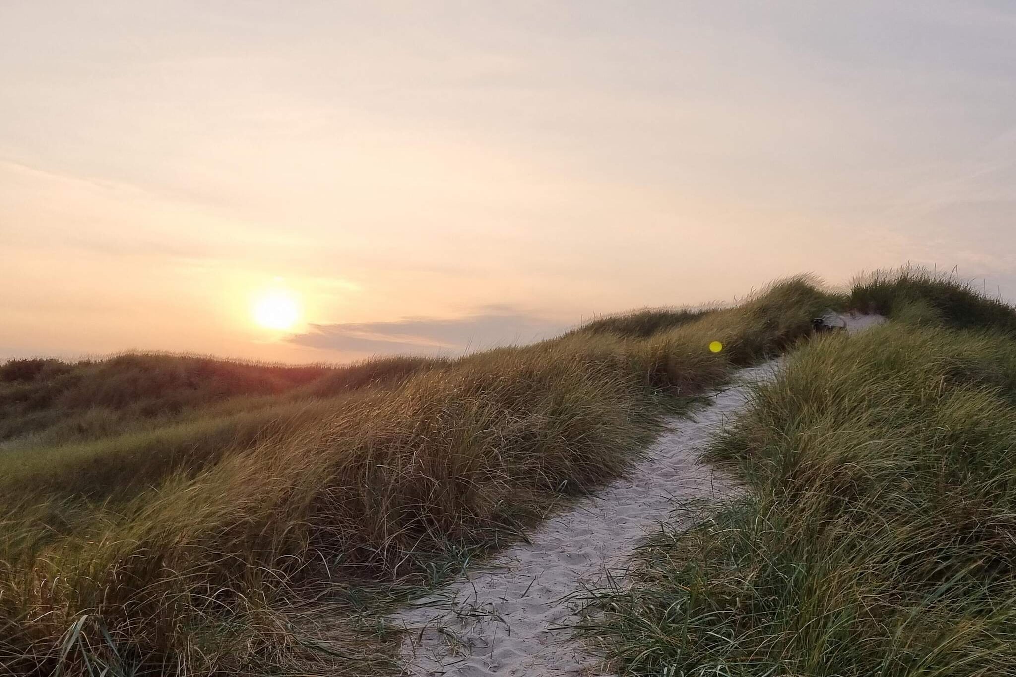 Licht strandhuis met sauna -- By Traum Ferienwohnungen