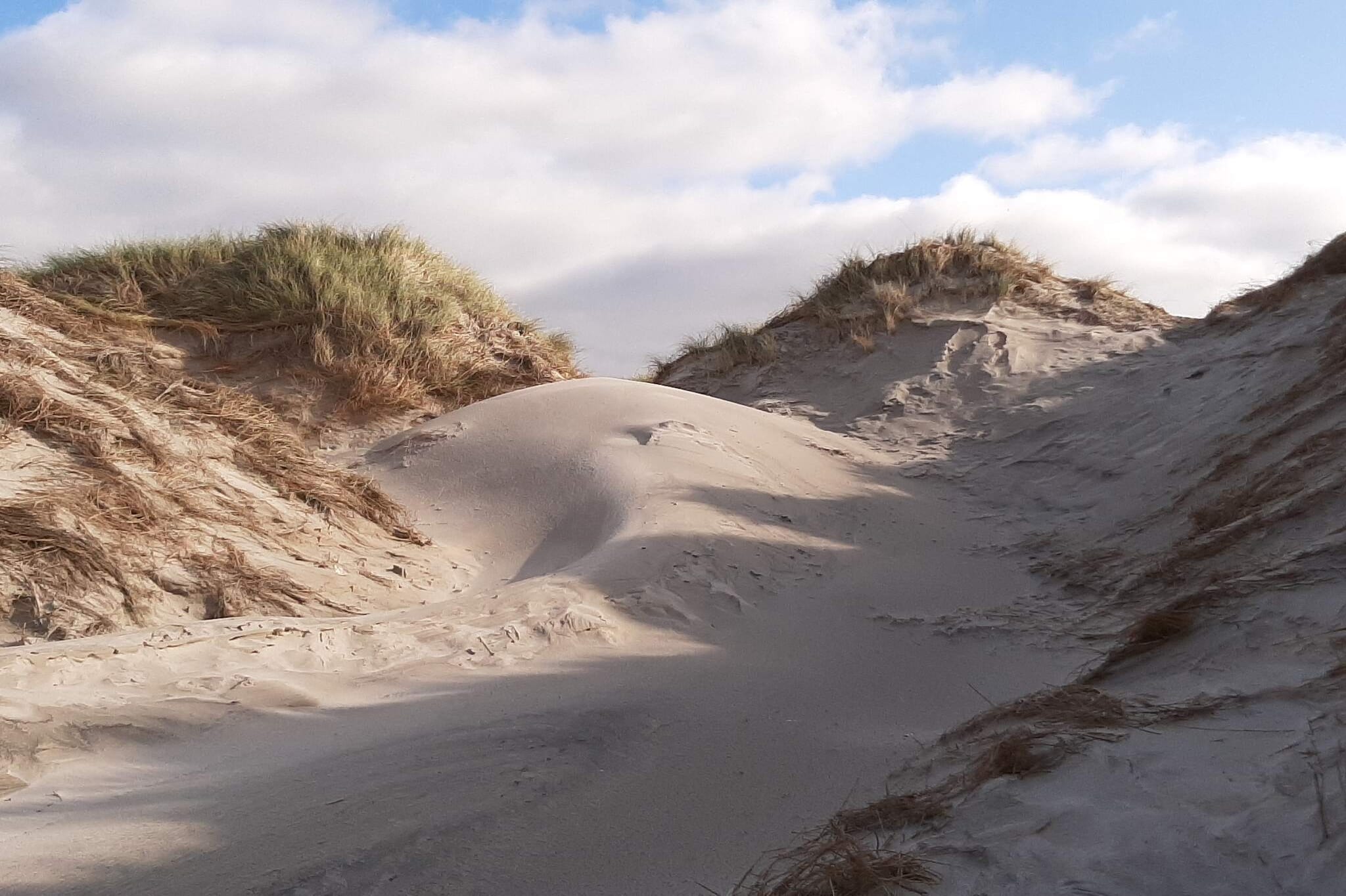 Licht strandhuis met sauna -- By Traum Ferienwohnungen