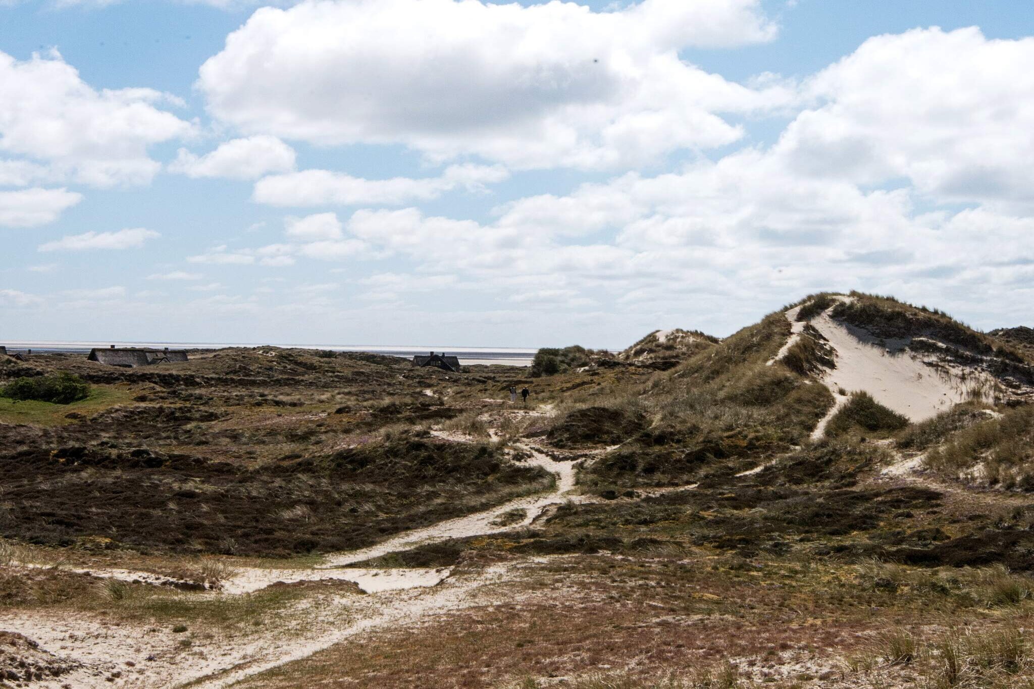 Luxe vakantieverblijf aan het strand