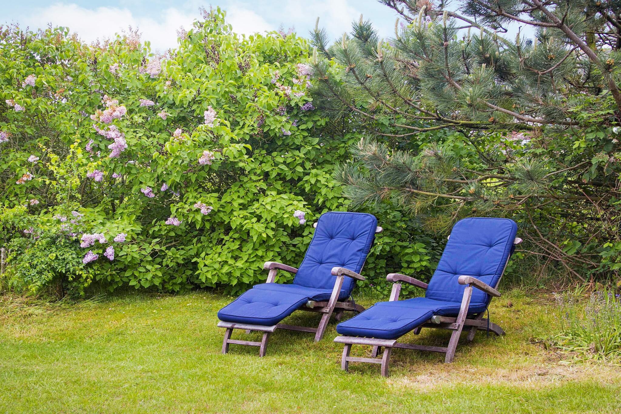 Charming Retreat on Mando - Untagged
