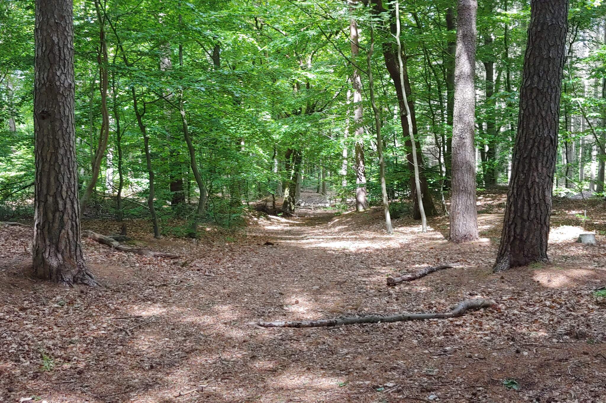 8 persoons vakantie huis in Oksbøl-By Traum