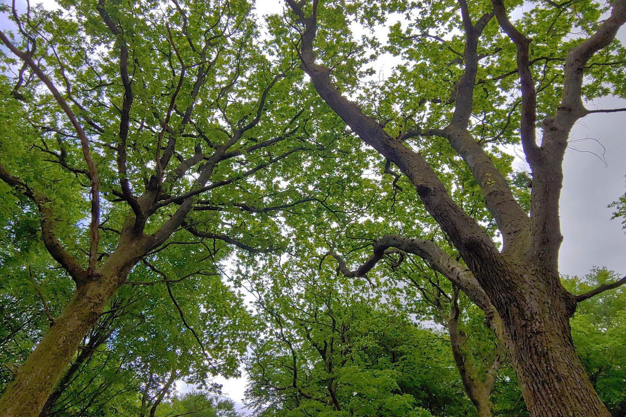 8 persoons vakantie huis in Oksbøl-By Traum-Niet-getagd