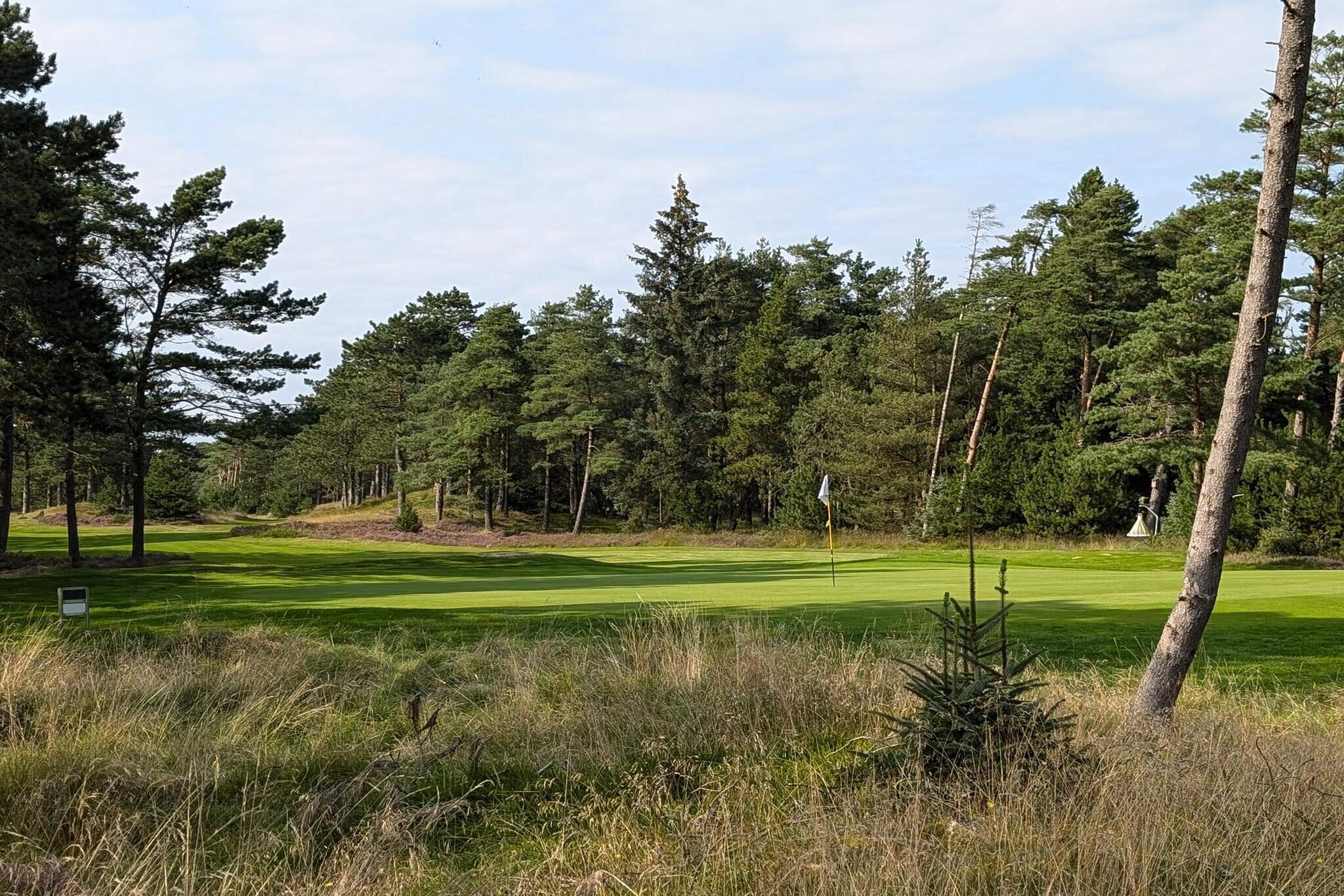 6 person holiday home in BlÃ¥vand