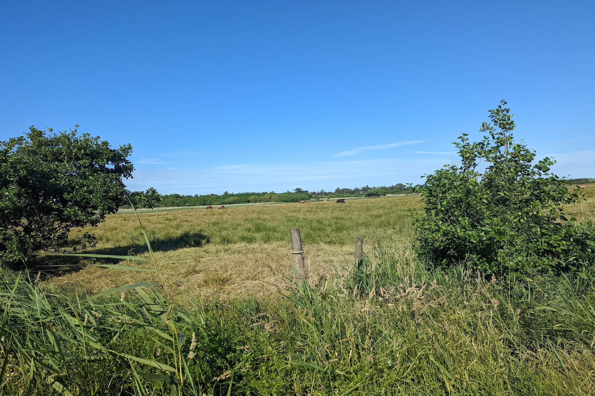 Close to Blåvand's child-friendly beach you will find this townhouse with a south facing terrace. It is equipped with a sound system with DVD player. Blåvand also has Northern Europe's largest miniature golf facilities, a 18-hulllers circuit, which is built in a hilly terrain with four lakes and a river. Free admittance to water park. No letting to youth groups.A refundable deposit might be charged closer to your check-in date. The security deposit ensures a smooth stay and covers any additional services or consumption charges.This deposit covers utilities consumed during your stay and any additional services that may be taken.The final amount will be adjusted based on actual meter readings, actual usage of extra services, and any remaining balance will be refunded within 21 days after checkout.This deposit simply acts as a prepayment for charges that  you would anyways pay for, ensuring a seamless stay and check-out experience.