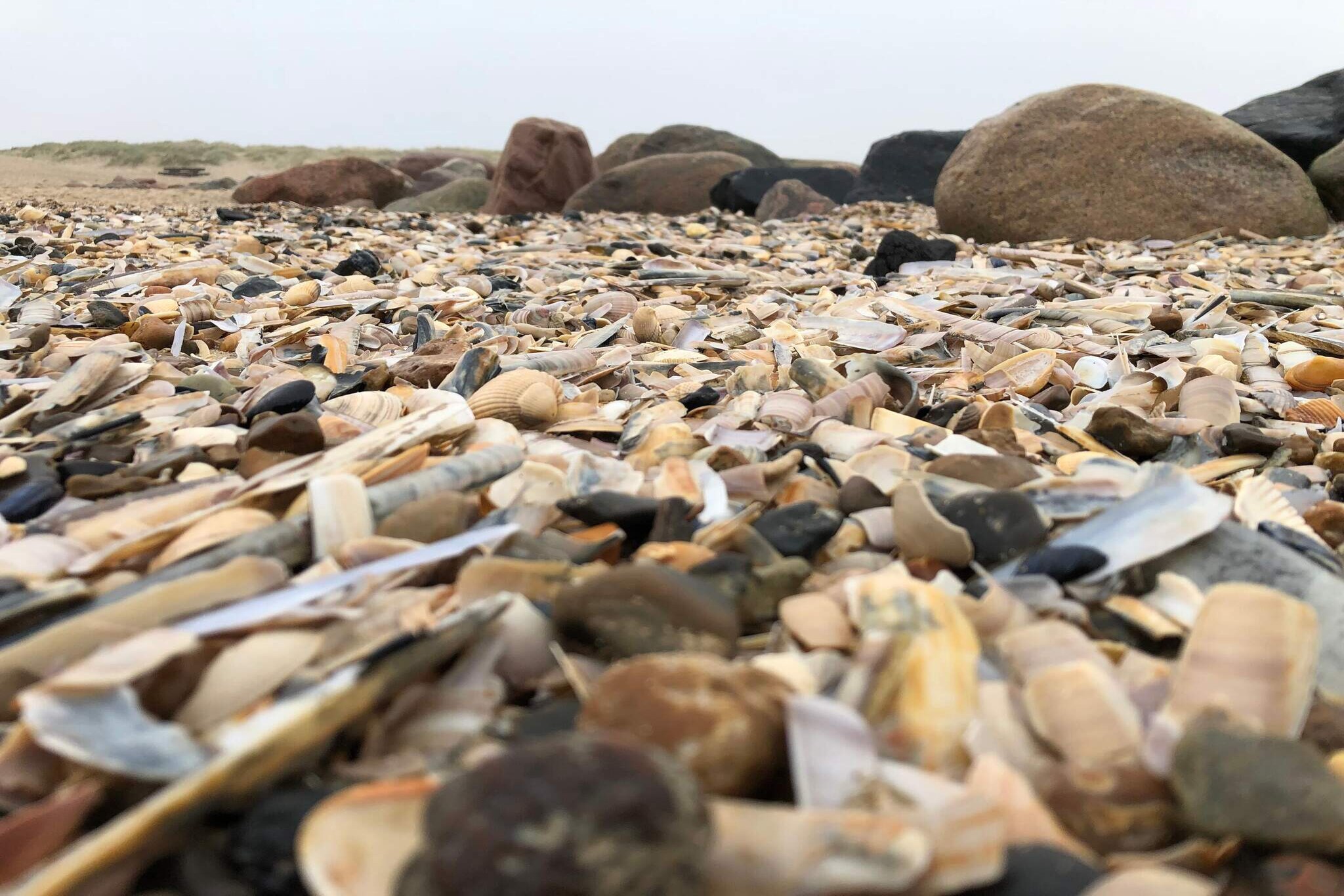 Cozy Beach House in Blavand - By Traum Ferienwohnungen