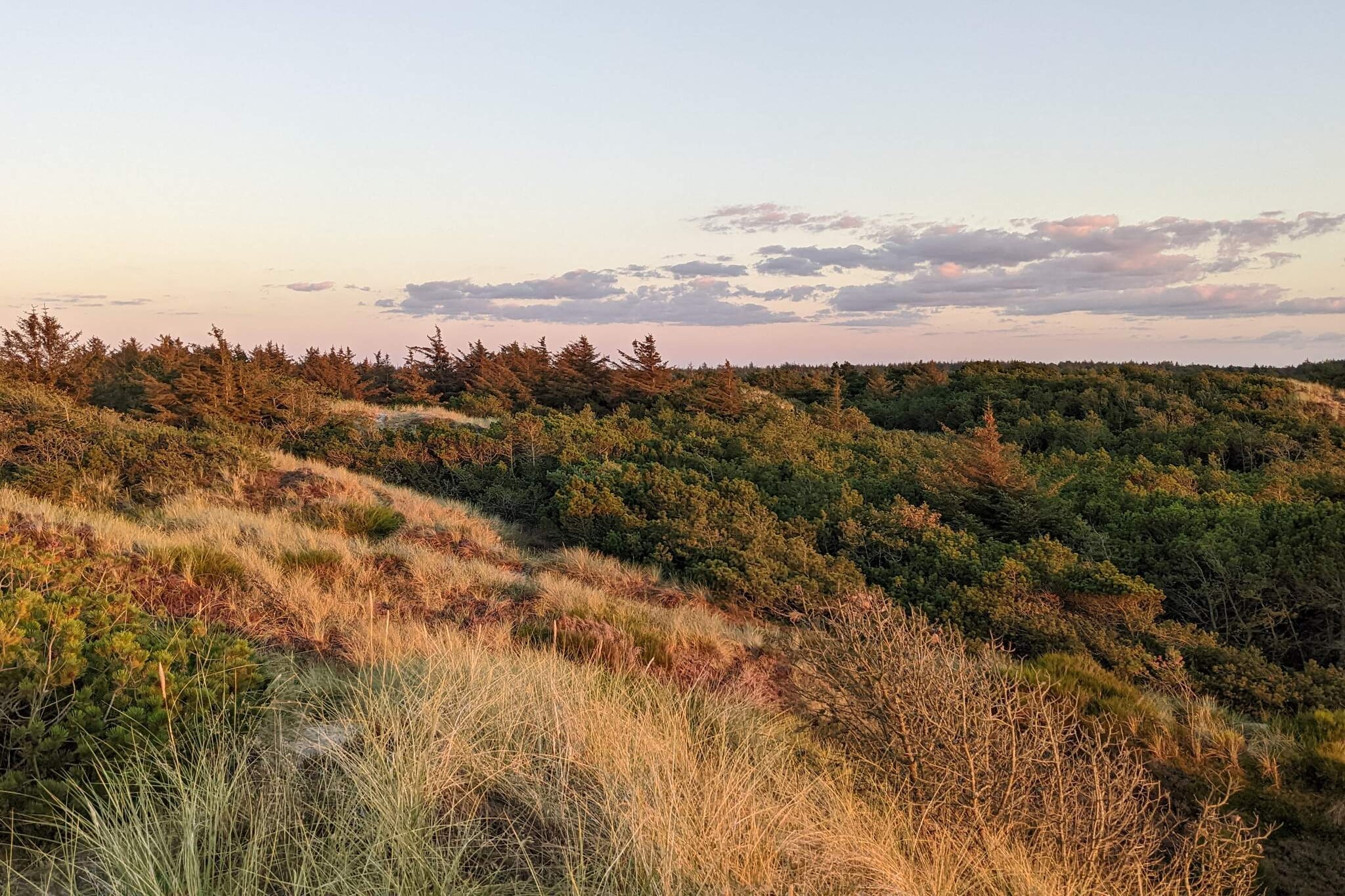 Modern huis bij duinen -- By Traum Ferienwohnungen