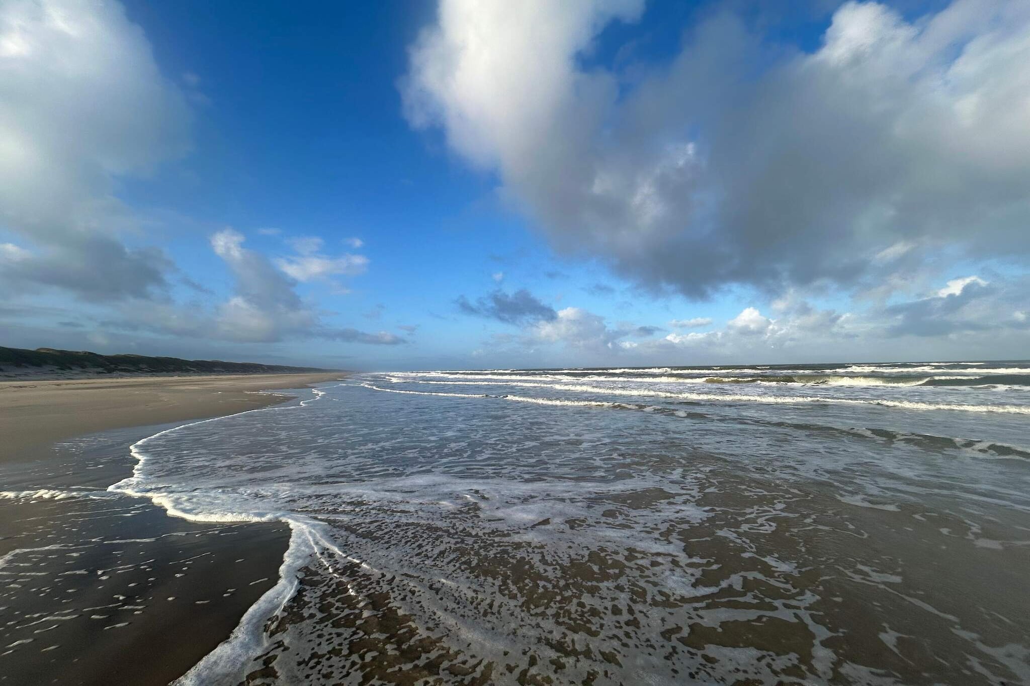 Modern huis bij duinen -- By Traum Ferienwohnungen-Waterzicht