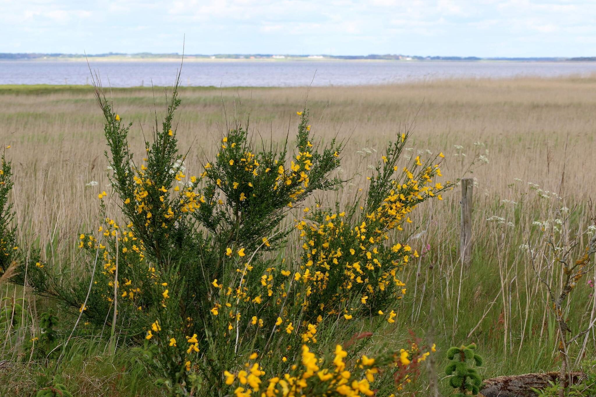 MOTEL UDSIGTEN-Niet-getagd