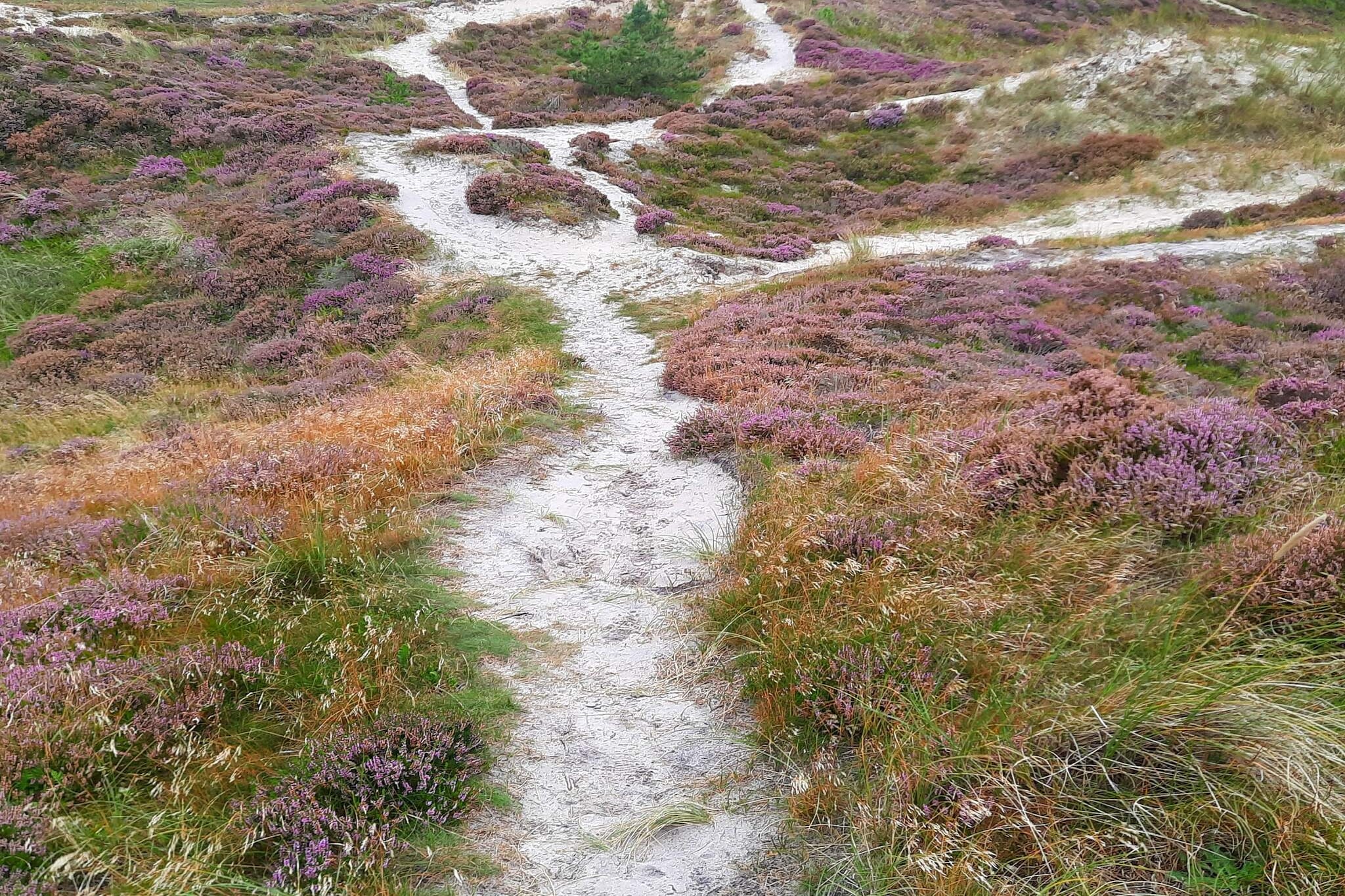 MOTEL UDSIGTEN-Nicht zugeordnet