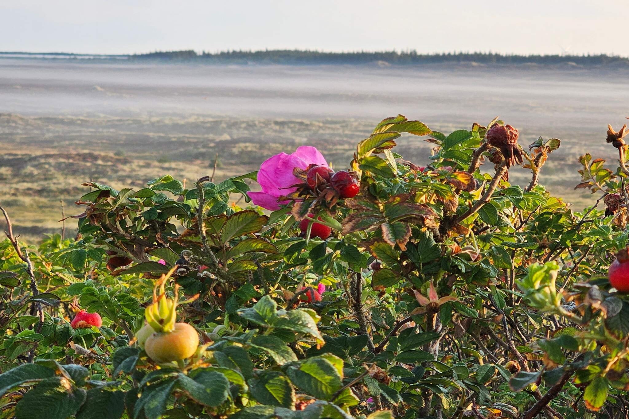 MOTEL UDSIGTEN-Nicht zugeordnet